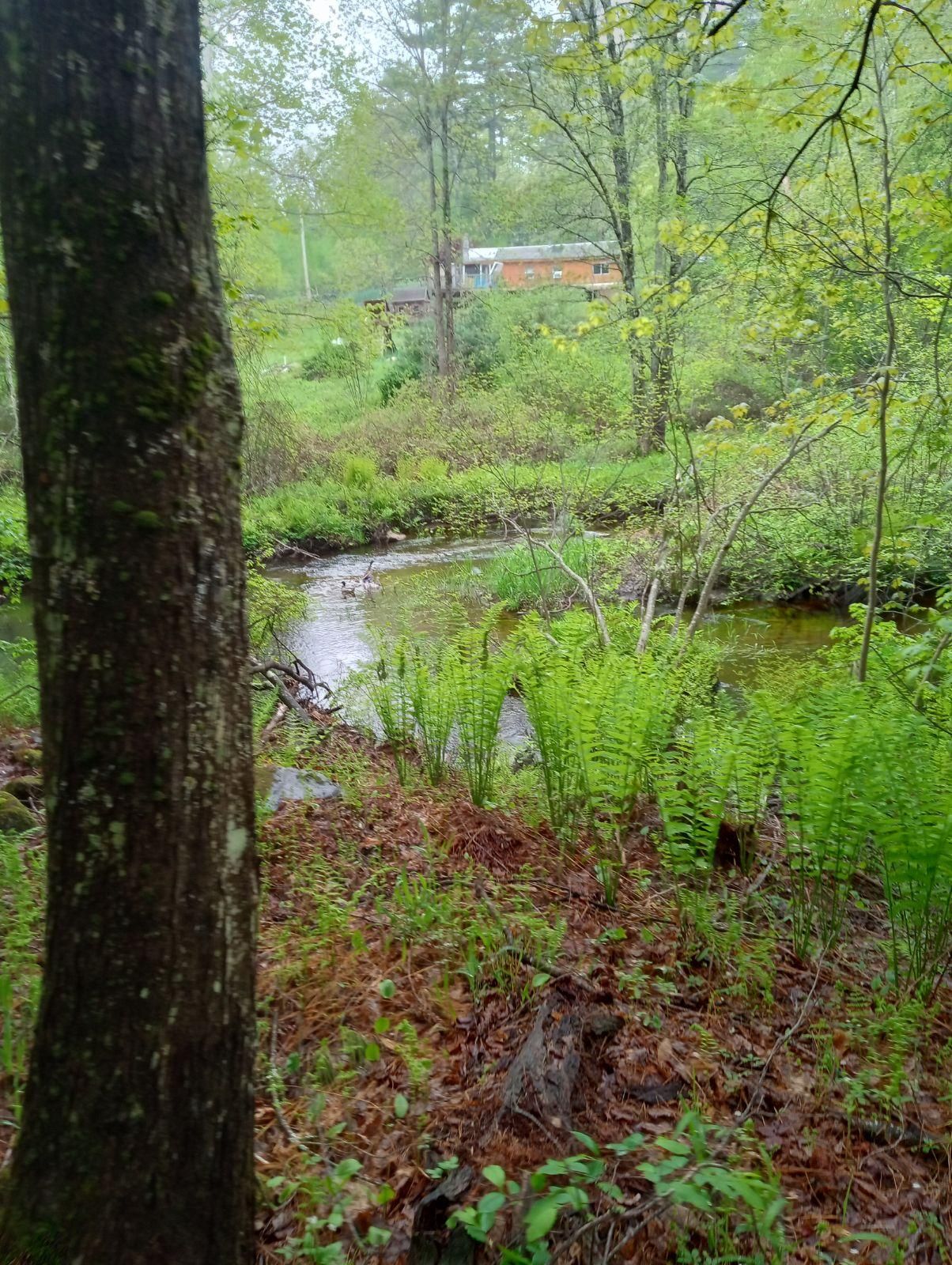 Berry River Rd, Barrington, NH 03825 LandWatch