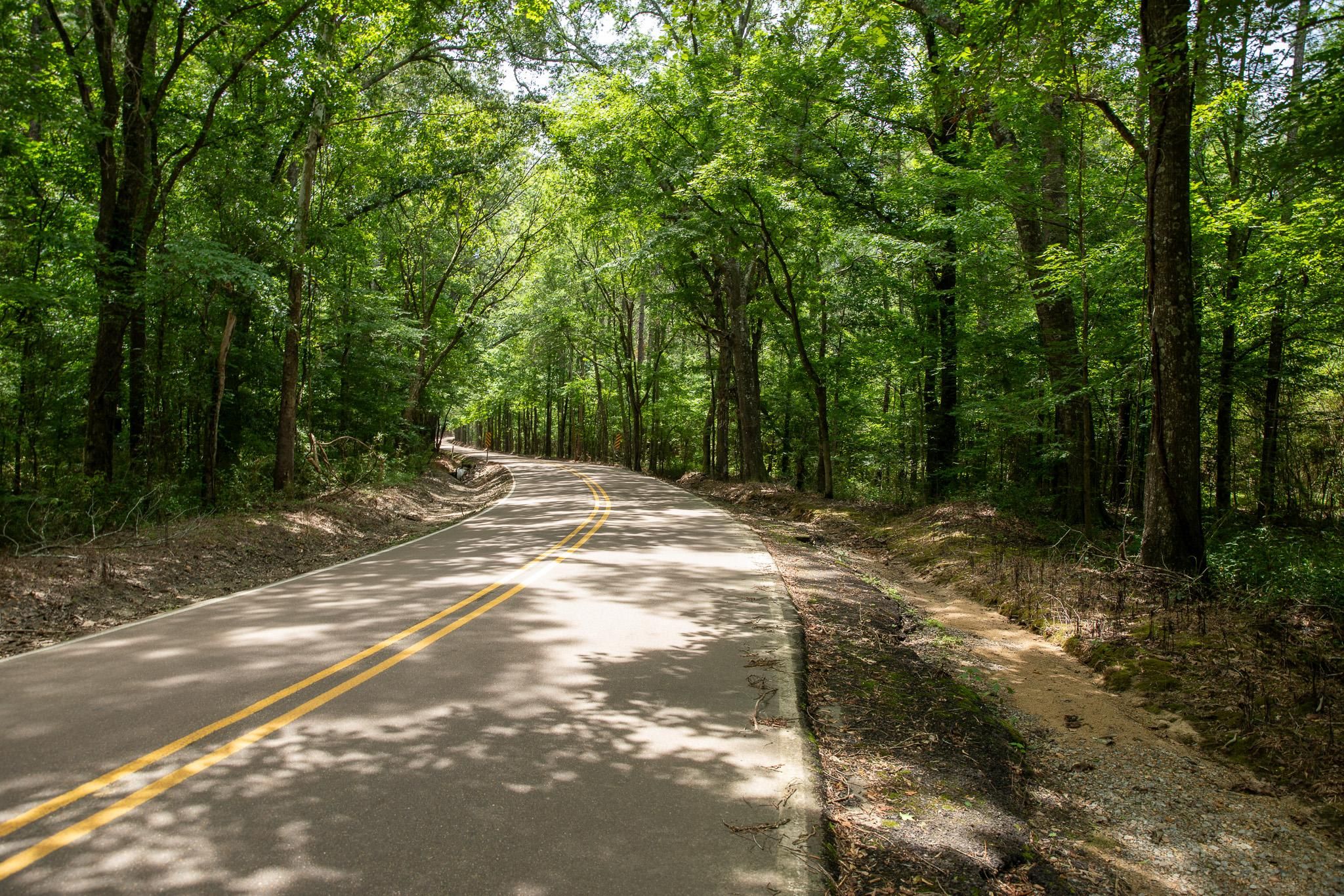 Ashley Rd, Puckett, MS 39042 MLS 4080944 LandWatch