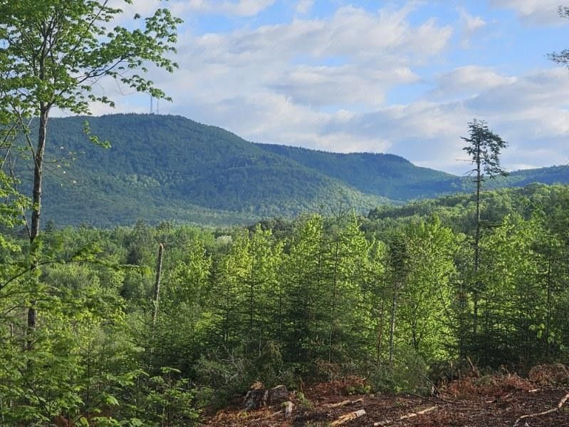 Woodstock, Oxford County, ME Undeveloped Land, Lakefront Property