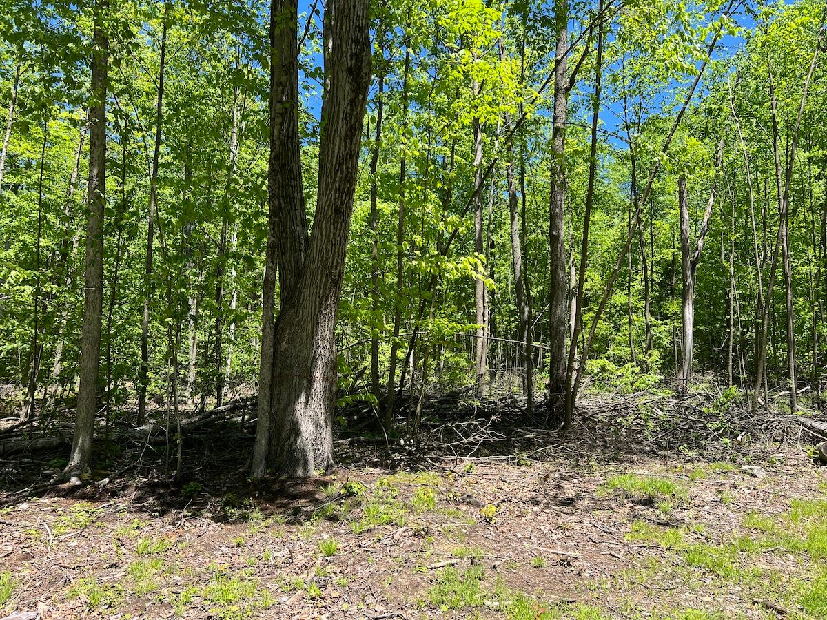 6140 Morrison Hill Road, Tidioute, PA 16351 LandWatch