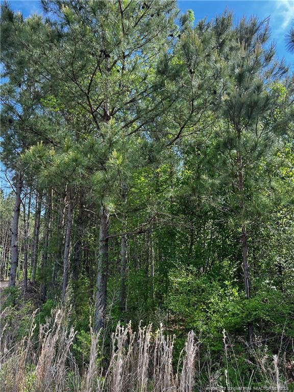 5824 Bluman Road, Wade, NC 28395 MLS LP722926 LandWatch