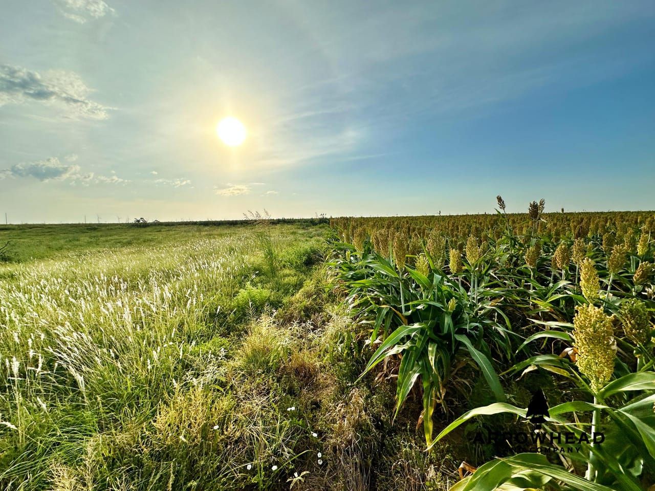 160 acres in Medford, OK, 73759 LandWatch