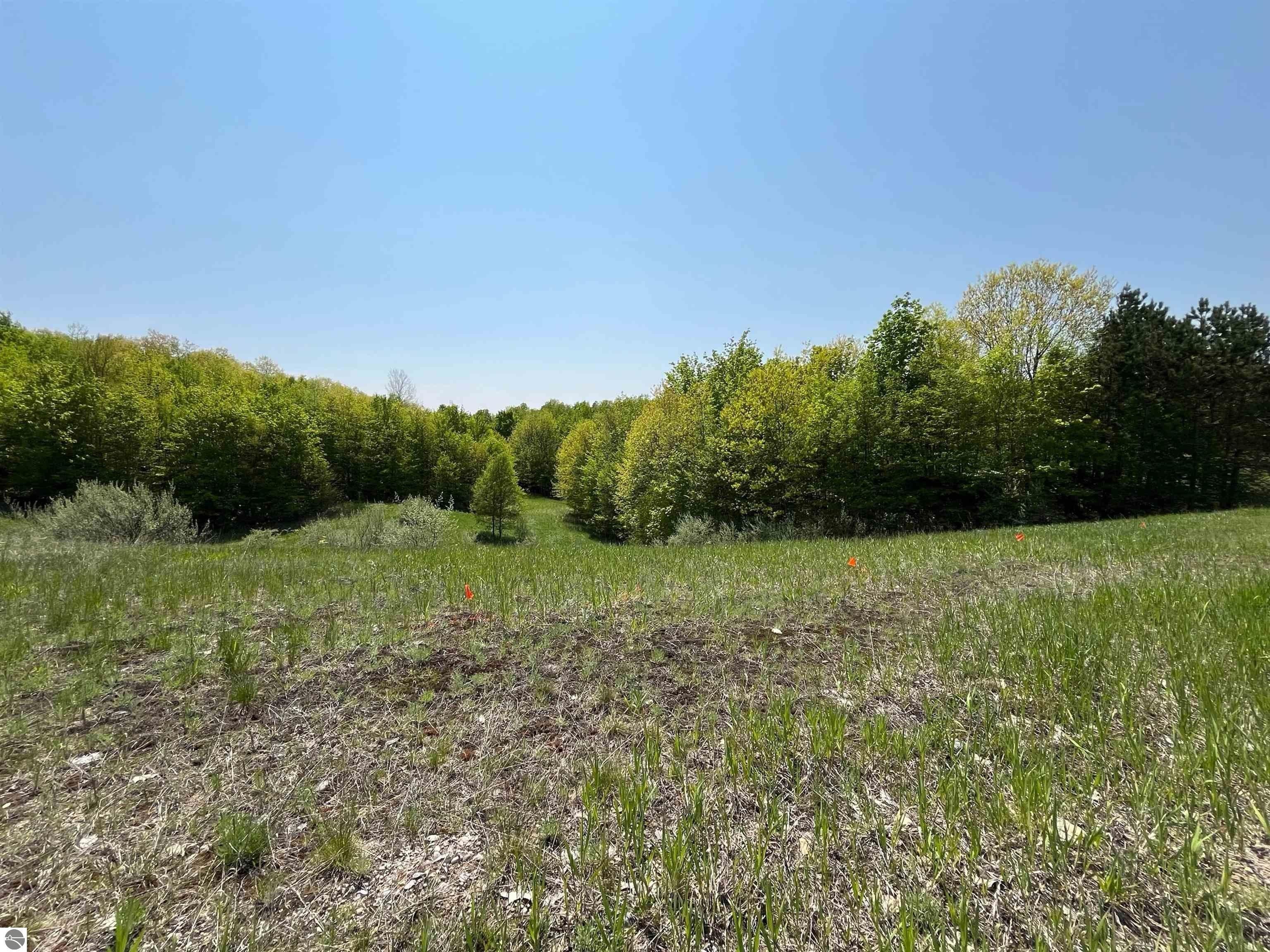 Grawn, Grand Traverse County, MI Undeveloped Land, Homesites for sale