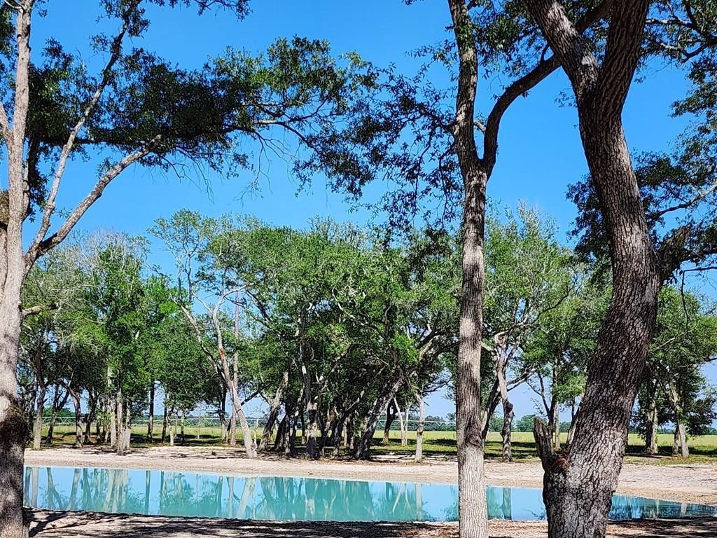 915 Enterprise Road, Cuthbert, GA 39837 MLS 12234 LandWatch