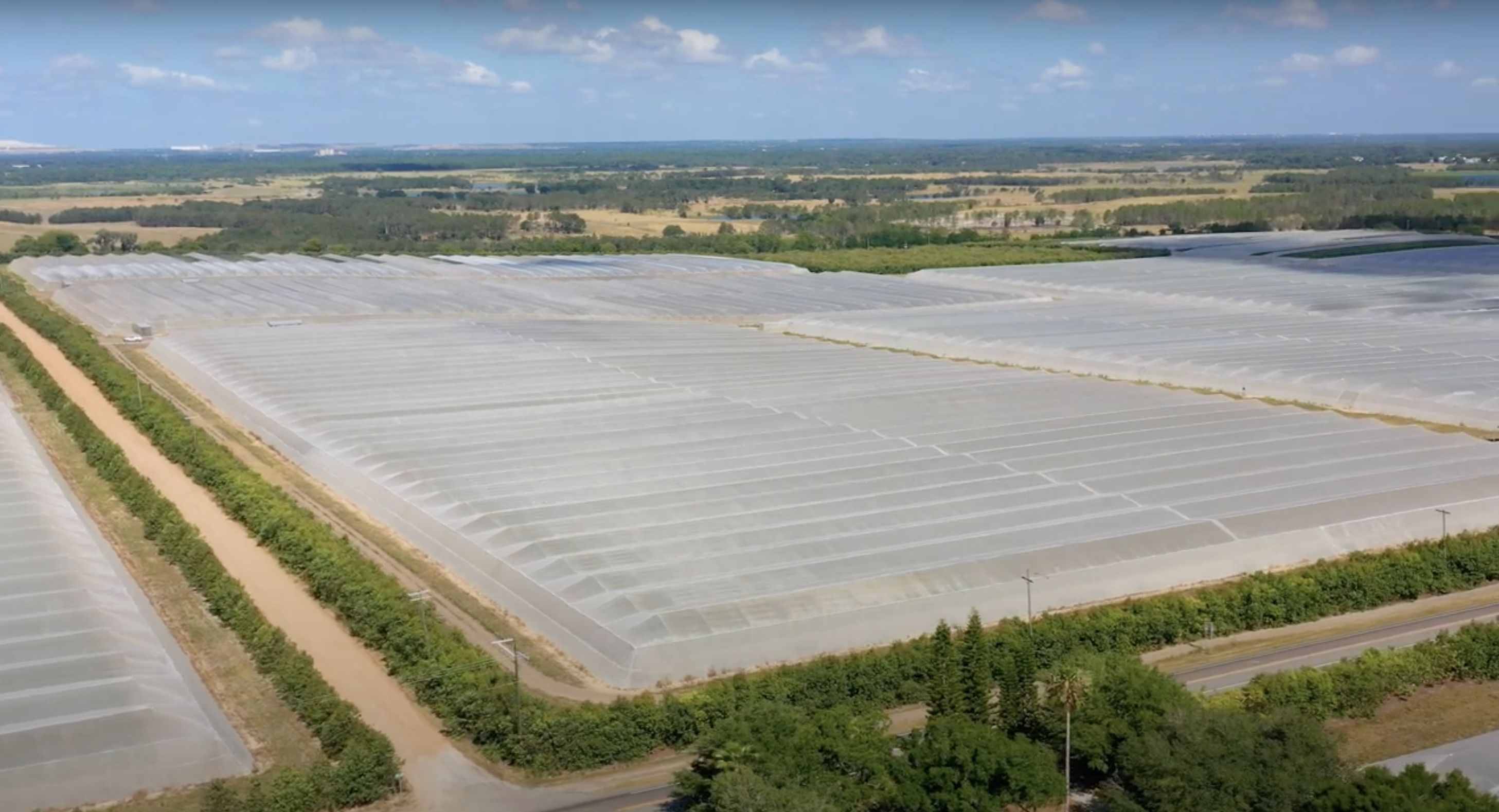 Cox Rd, Bartow, FL 33830 LandWatch