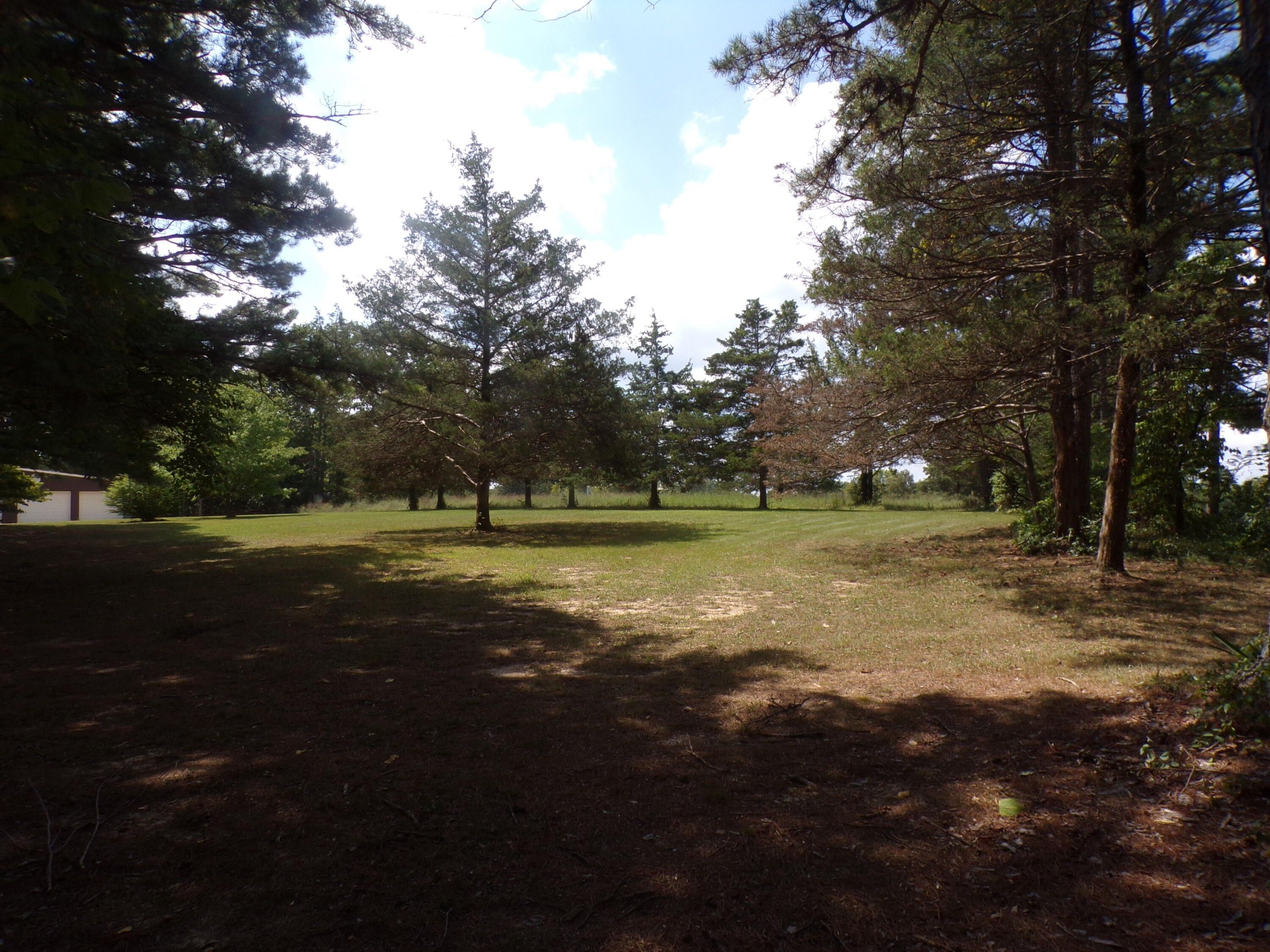 Birch Tree, Shannon County, MO Undeveloped Land for sale Property ID