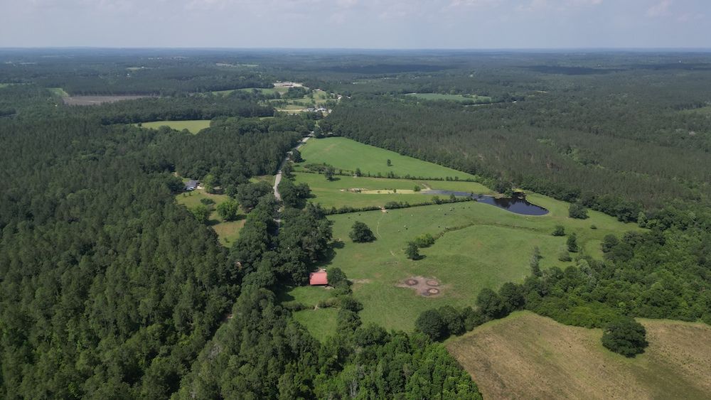 5182 Millry Buckatunna Road, LotWP001, Millry, AL 36558 MLS 362907 LandWatch