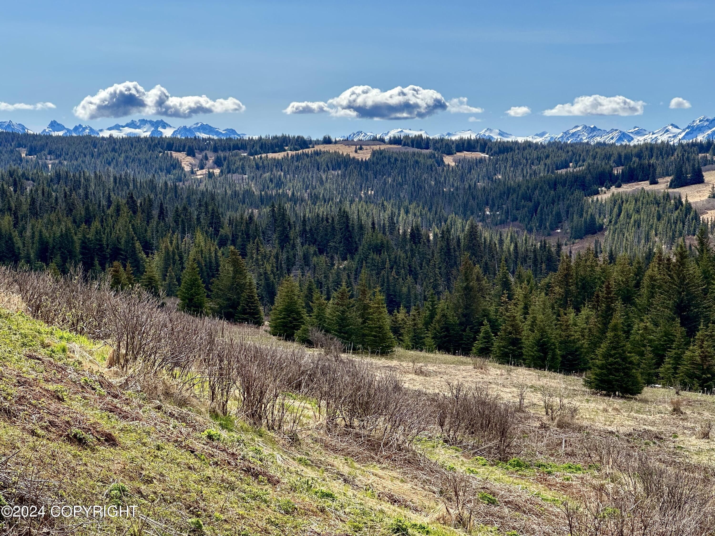Homer, Kenai Peninsula Borough, AK Undeveloped Land, Lakefront Property