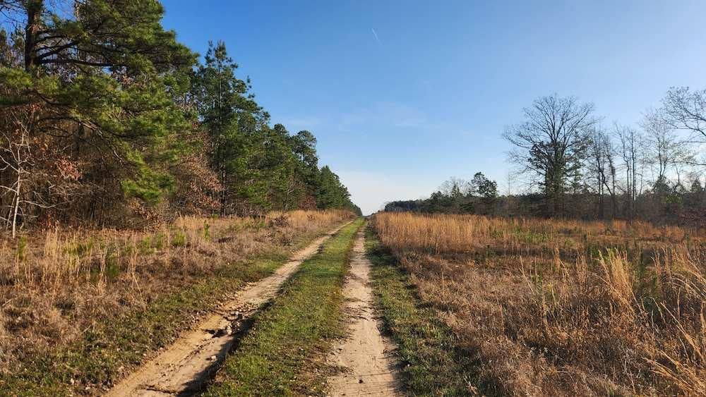 Gurdon, Clark County, AR Timberland Property, Undeveloped Land for sale
