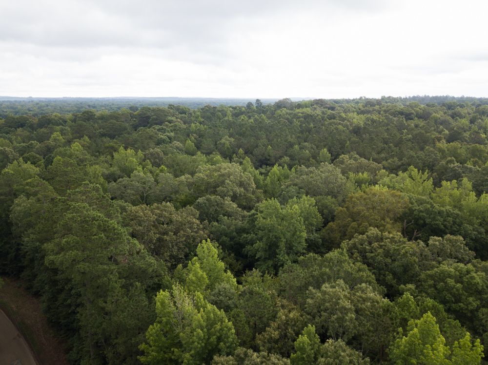 000 Red Springs Road, Gurdon, AR 71743 MLS Clark 40 LandWatch