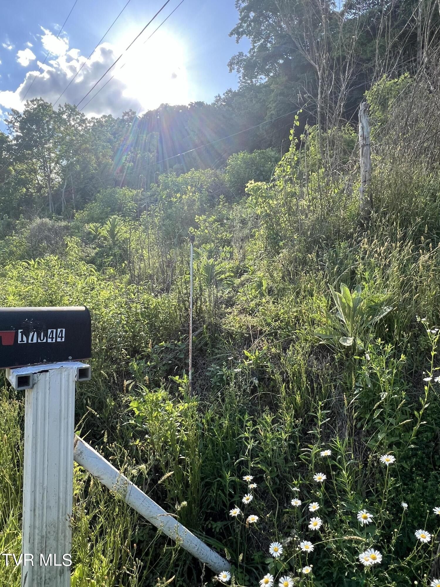 Tbd North Fork River Road, Abingdon, VA 24210 MLS 9966498 LandWatch