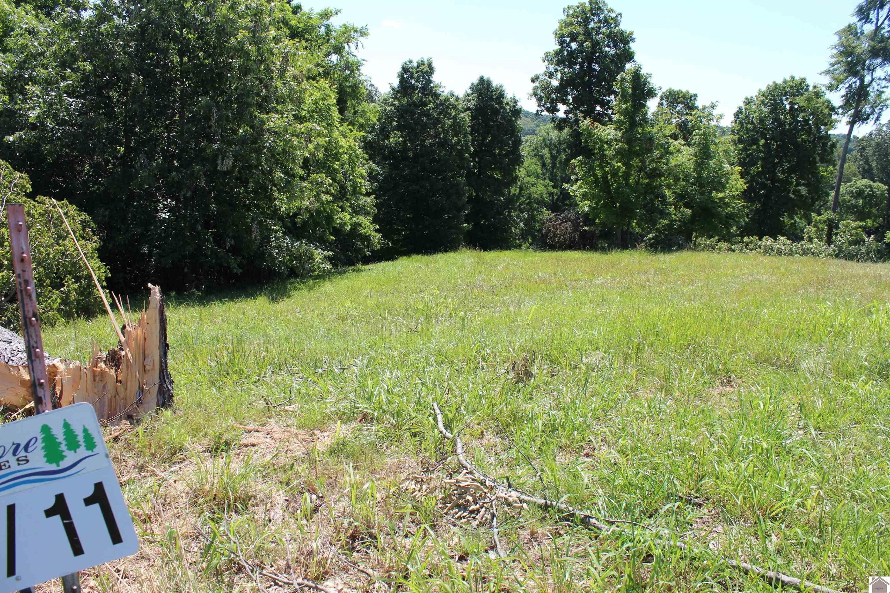 Eddyville, Lyon County, KY Undeveloped Land, Homesites for sale