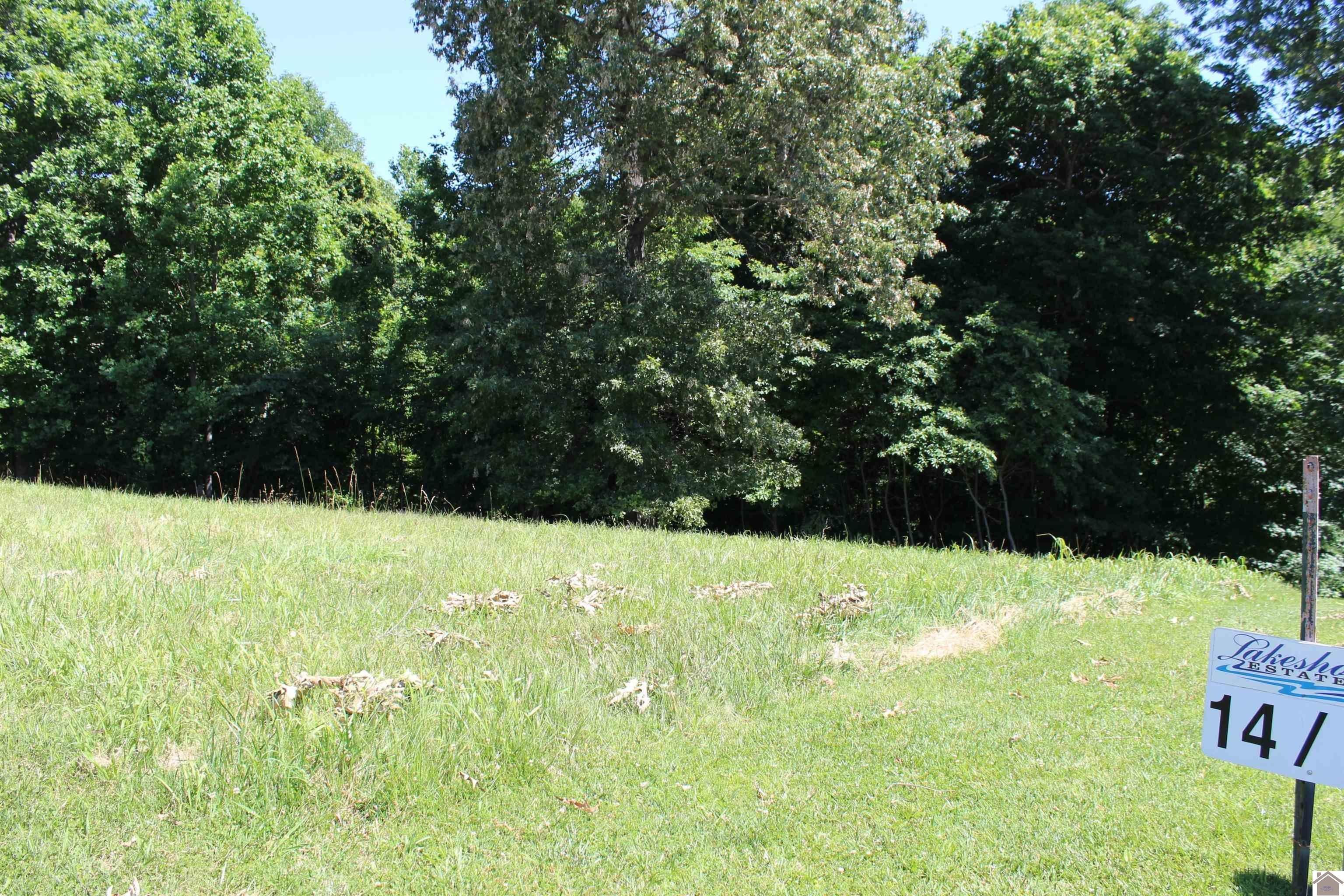 Lots 14 Oak View Lane, Eddyville, KY 42038 MLS 127102 LandWatch