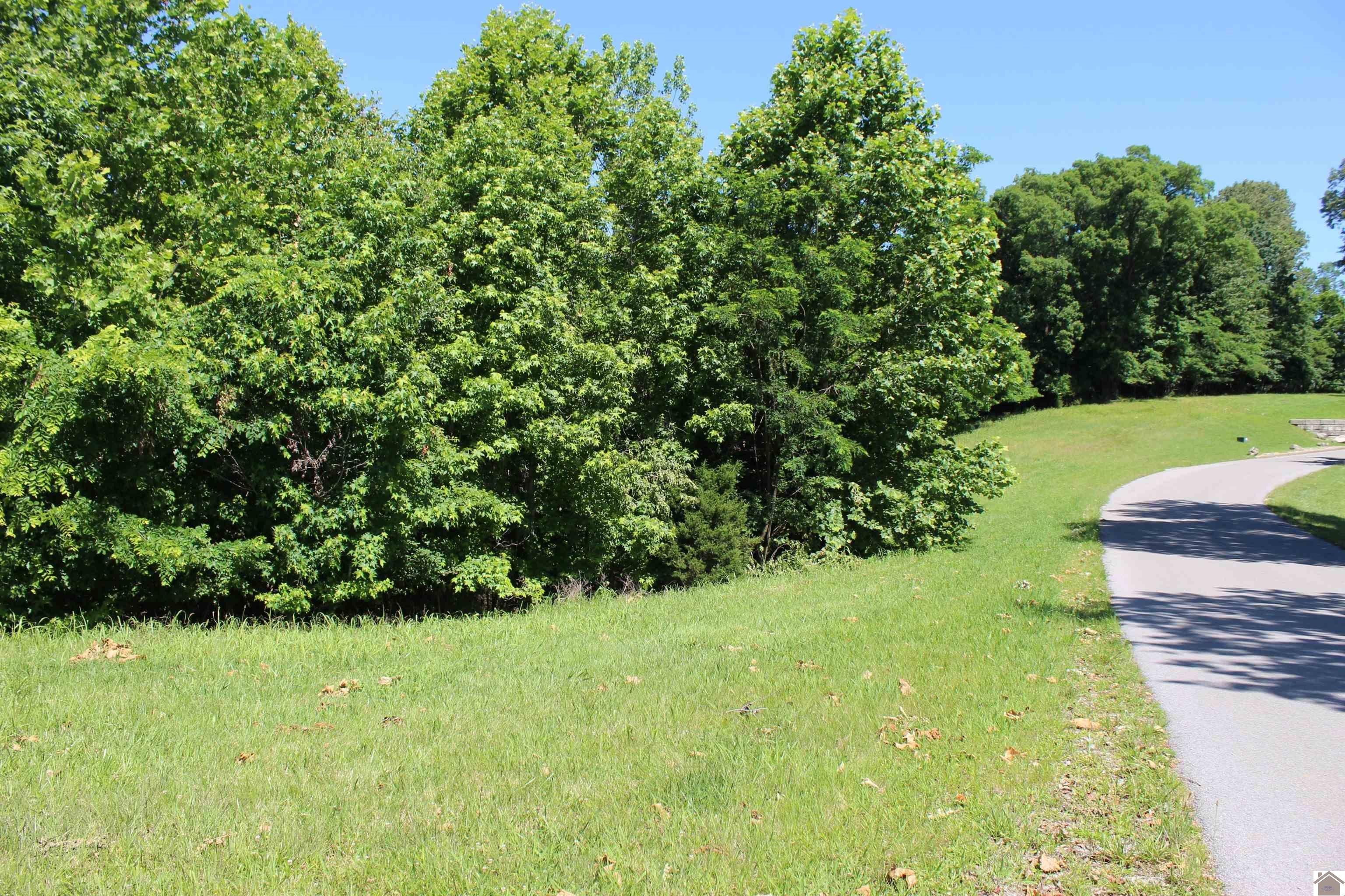 Eddyville, Lyon County, KY Undeveloped Land, Homesites for sale