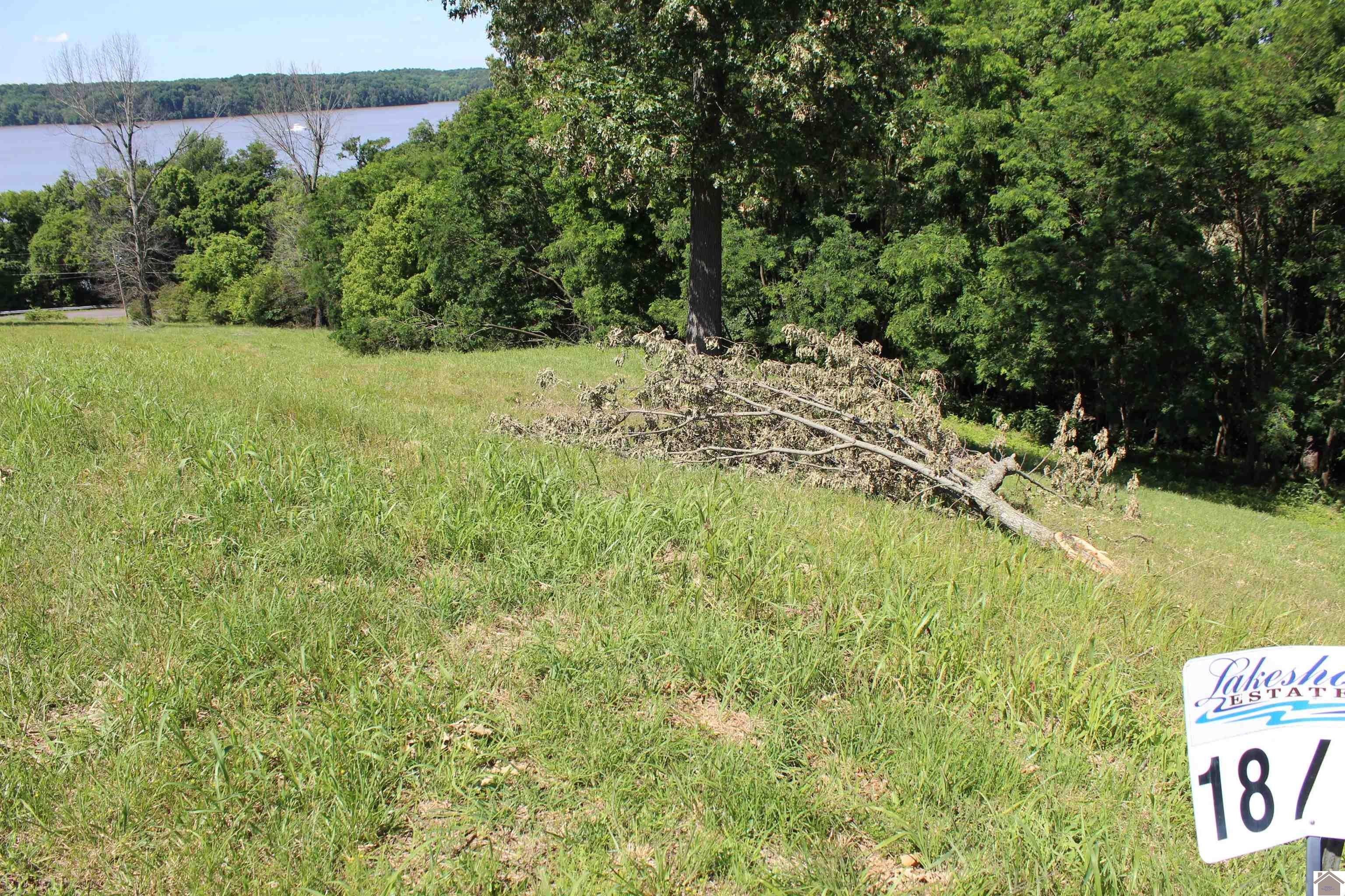 Lots 18 Oak View Lane, Eddyville, KY 42038 MLS 127106 LandWatch