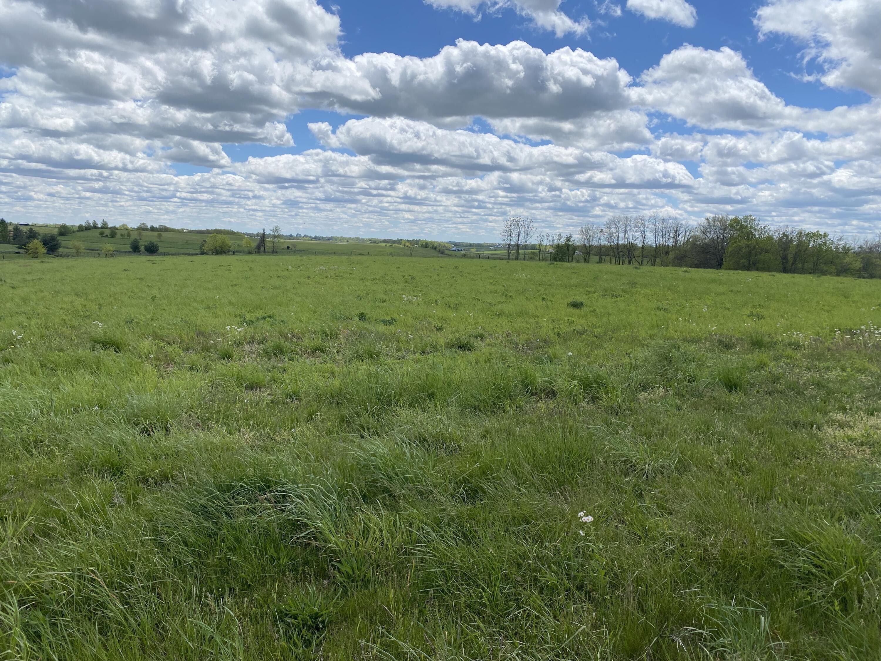 Scott County, KY Undeveloped Land for sale Property ID