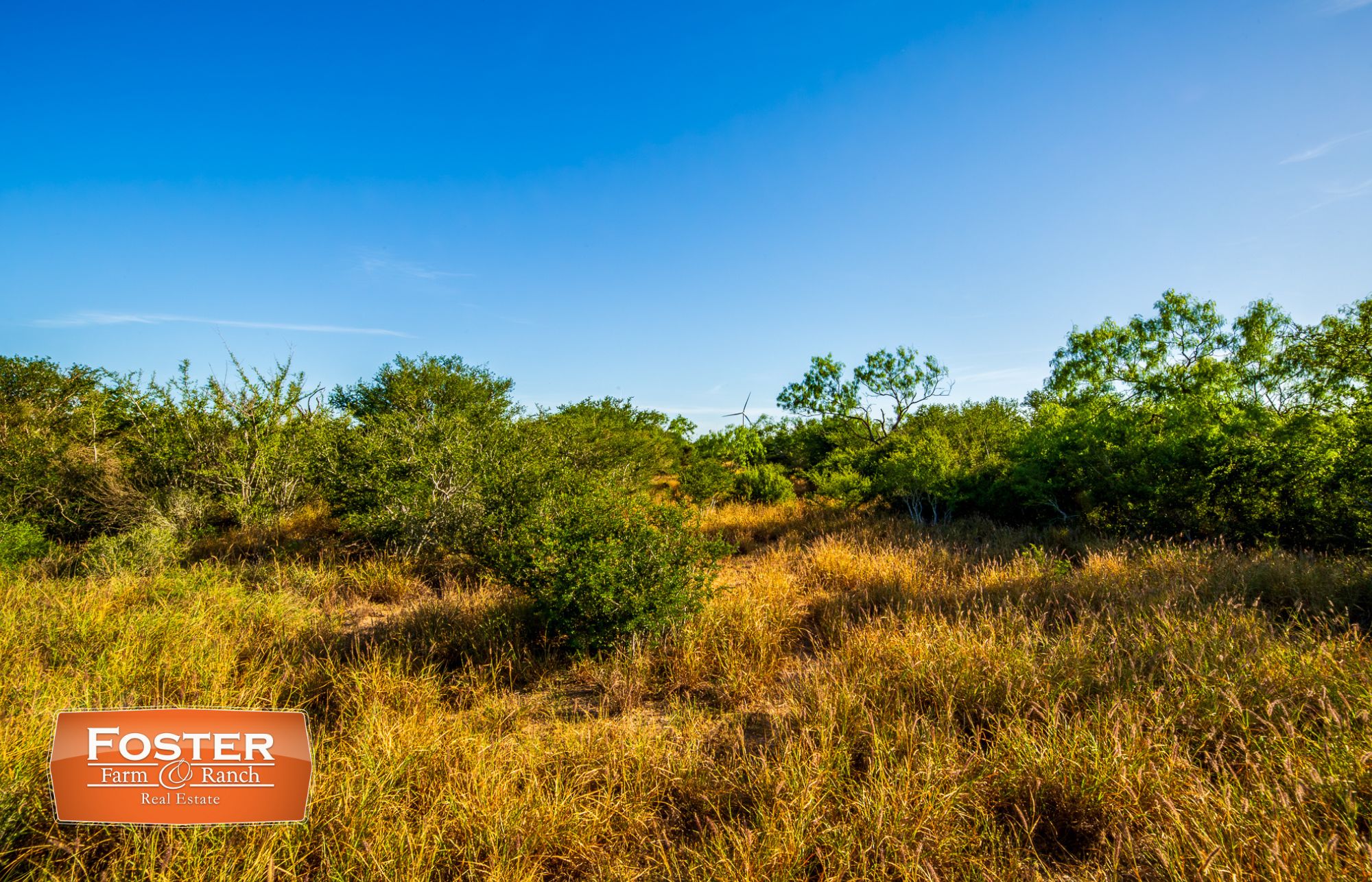 430 acres in McCook, TX, 78541 LandWatch