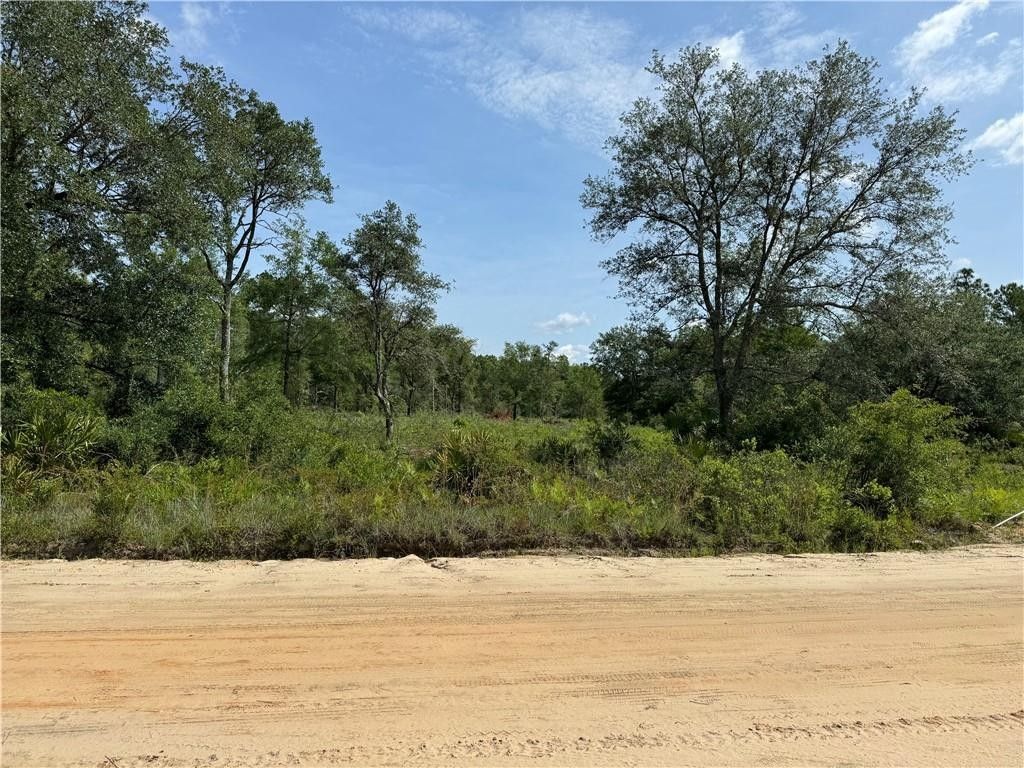 (13+ Acres) Harvest Road, Nahunta, GA 31553 MLS 1646905 LandWatch