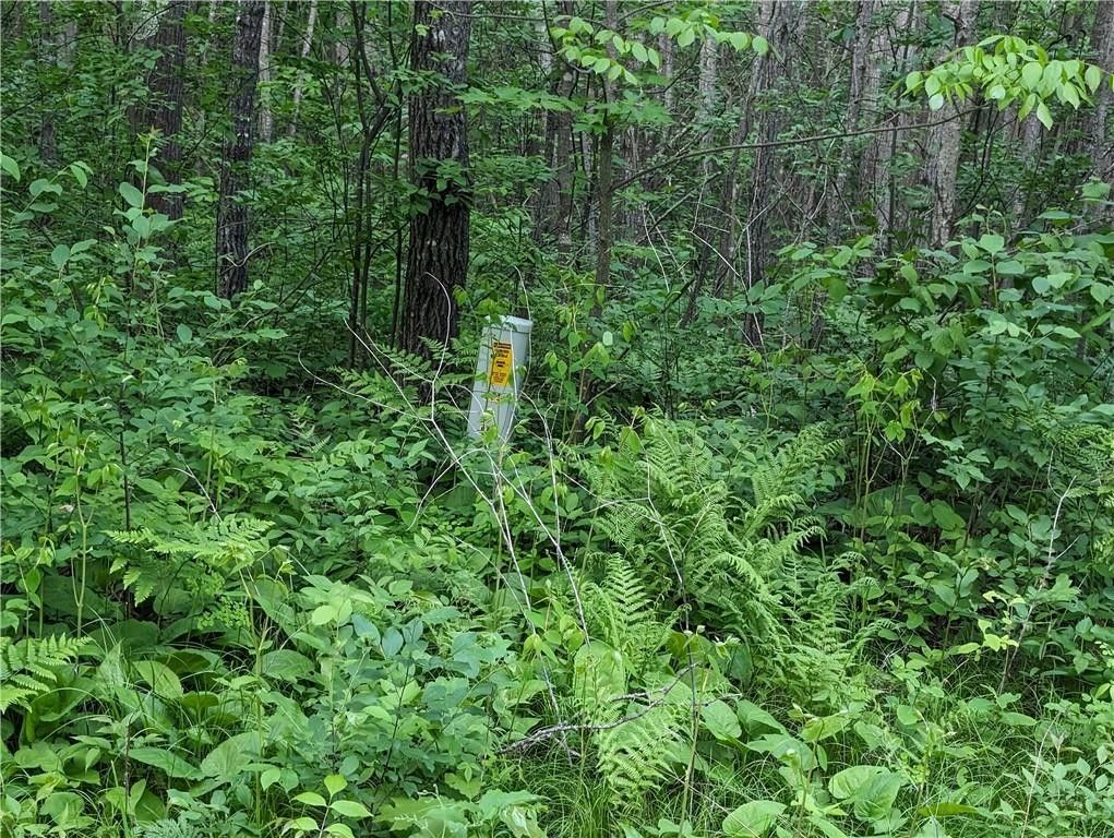 Couderay, Sawyer County, WI Undeveloped Land for sale Property ID