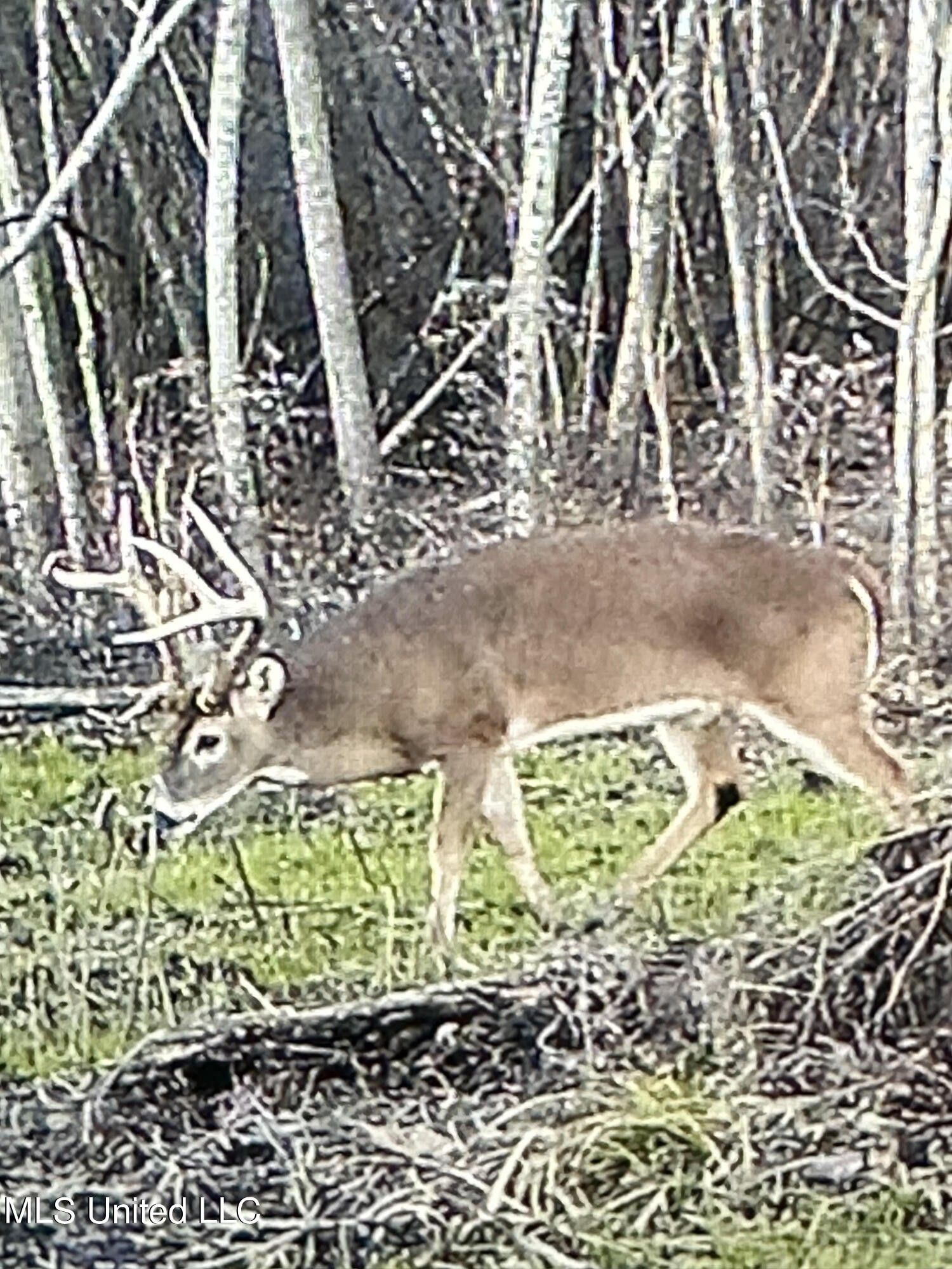 Rolling Fork, Sharkey County, MS Undeveloped Land for sale Property ID 419910557 LandWatch