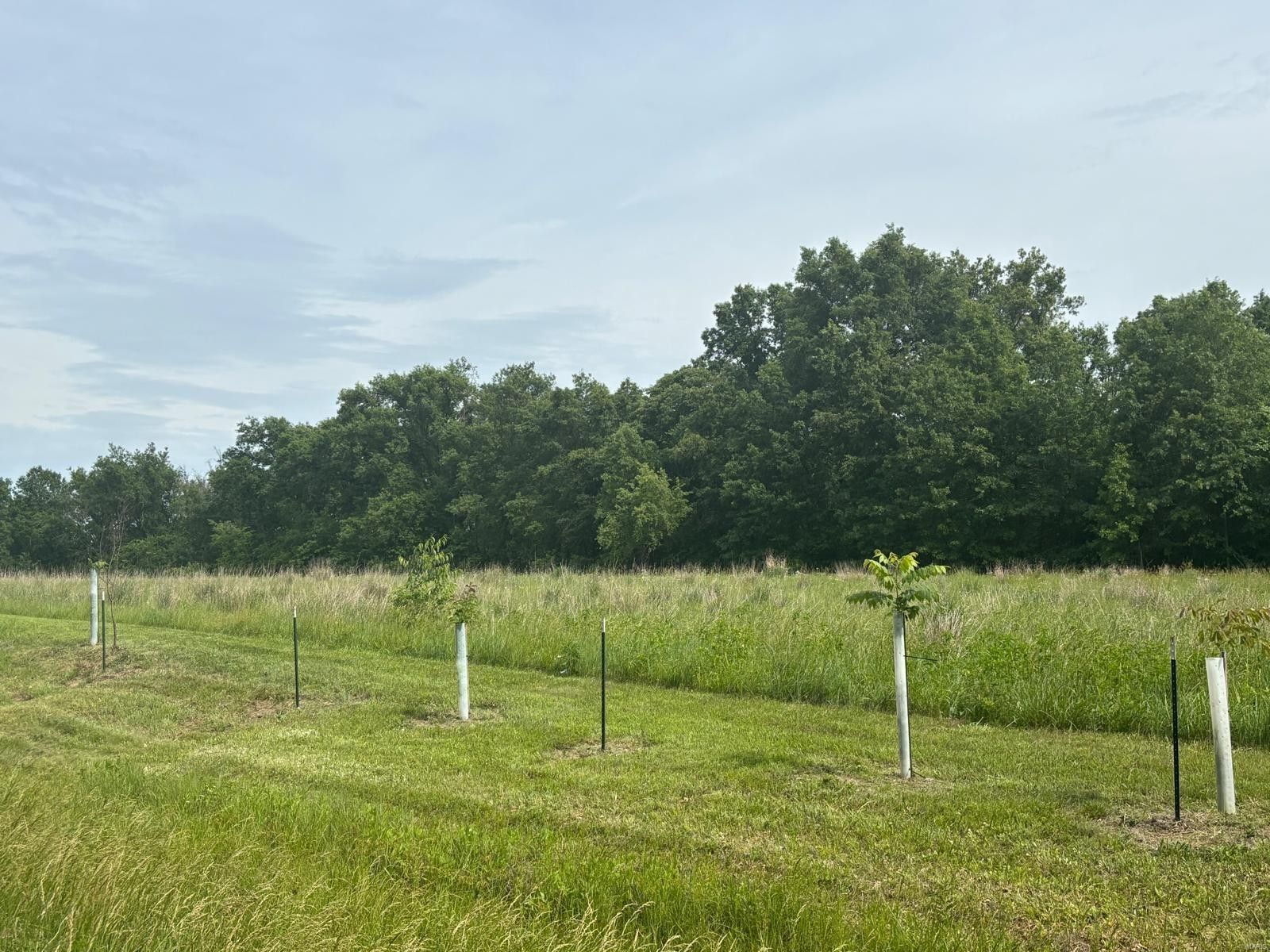 Madison, Monroe County, MO Farms and Ranches for sale Property ID