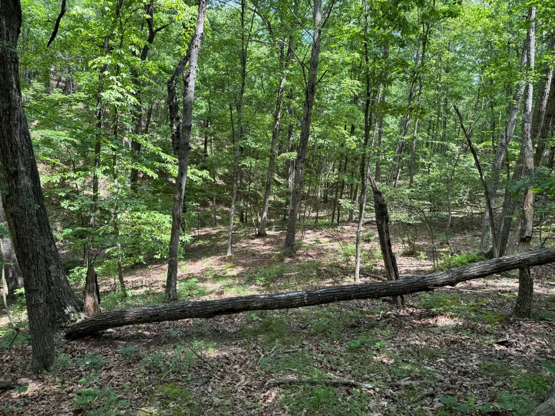 Delray Heights Circle, Delray, WV 26714 MLS WVHS2004752 LandWatch