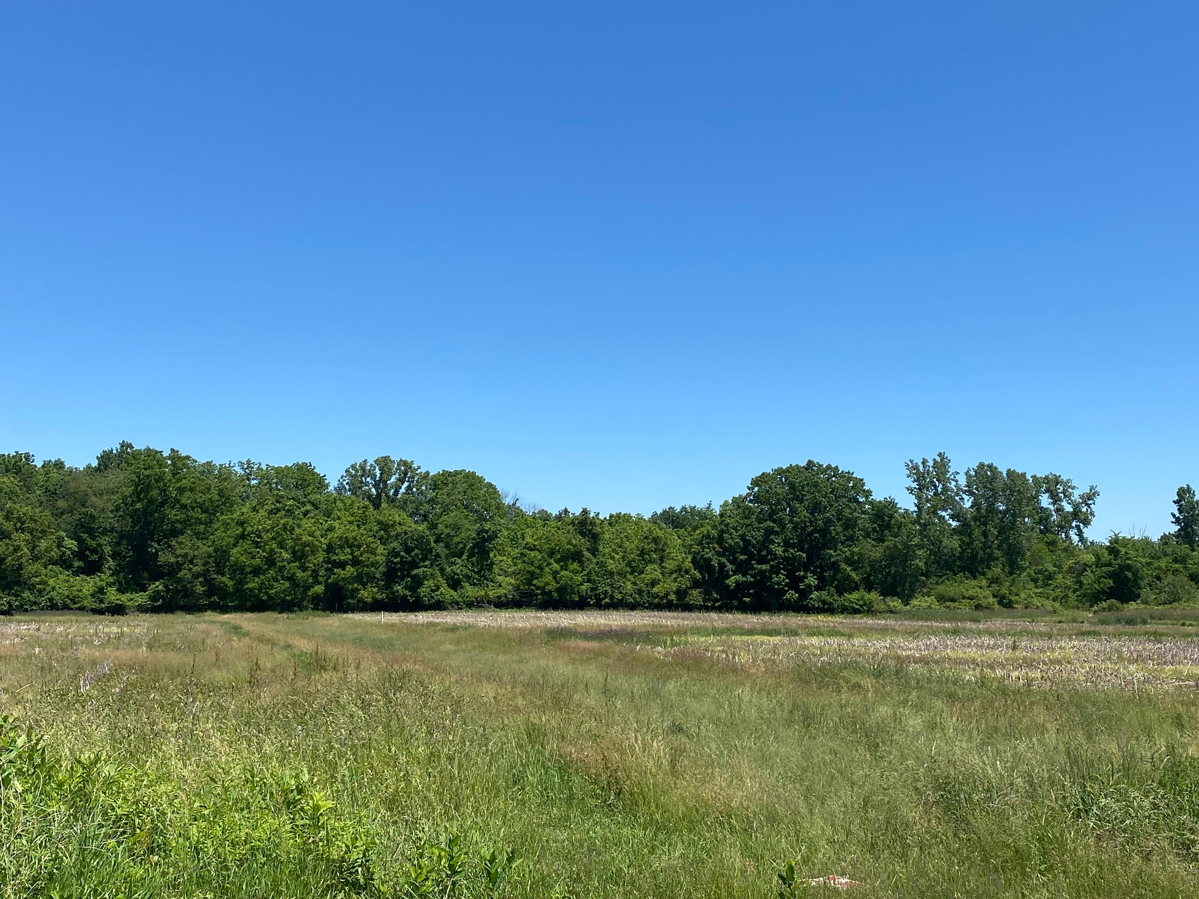 3341 Township Highway 145, Edison, OH 43320 LandWatch