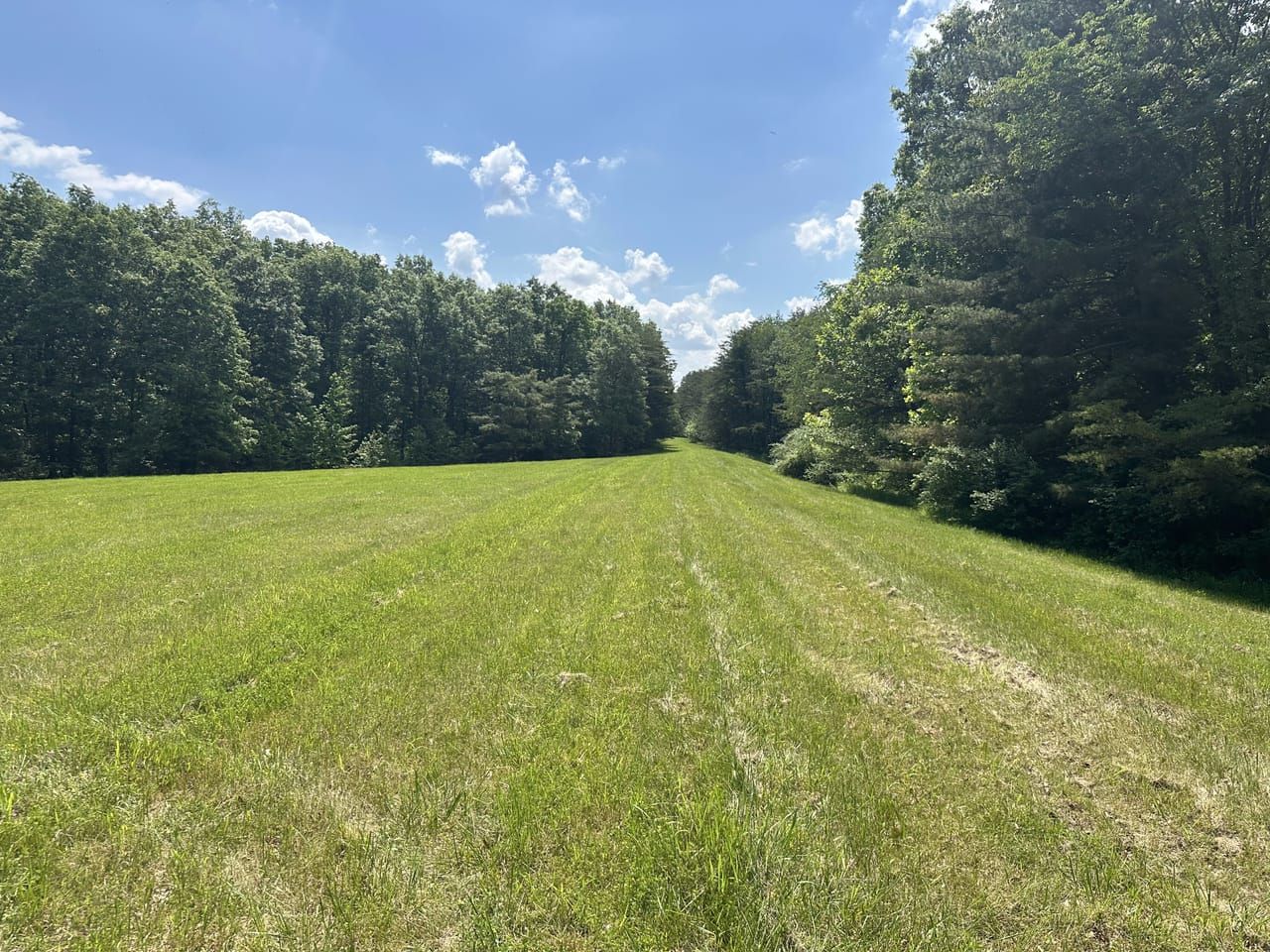 Cory Staunton Road, Brazil, IN 47834 LandWatch