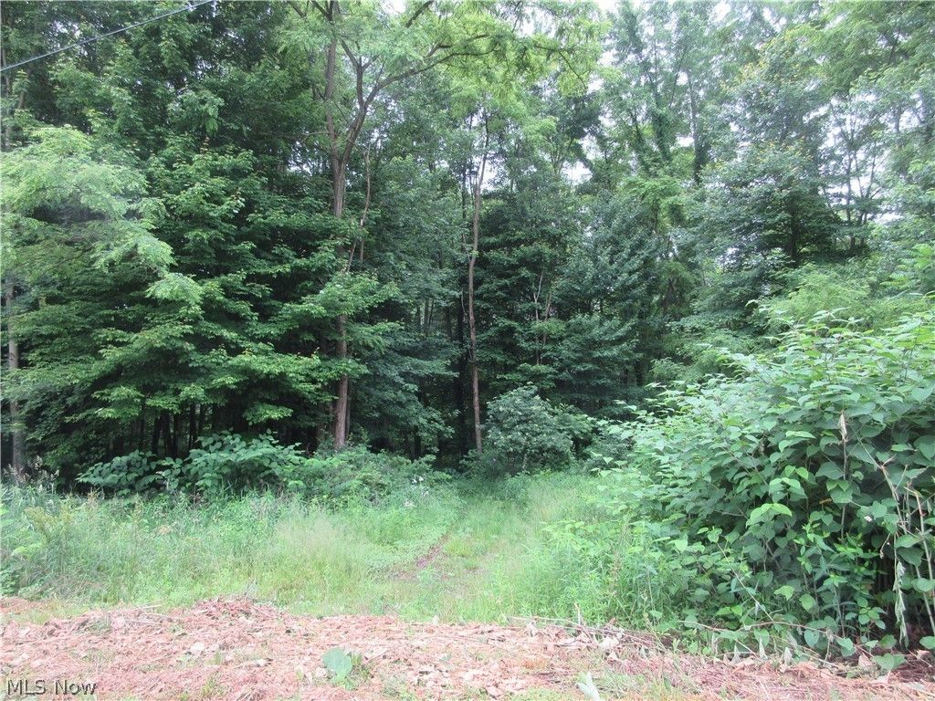 Phelps Road, Linesville, PA 16424 MLS 5043301 LandWatch
