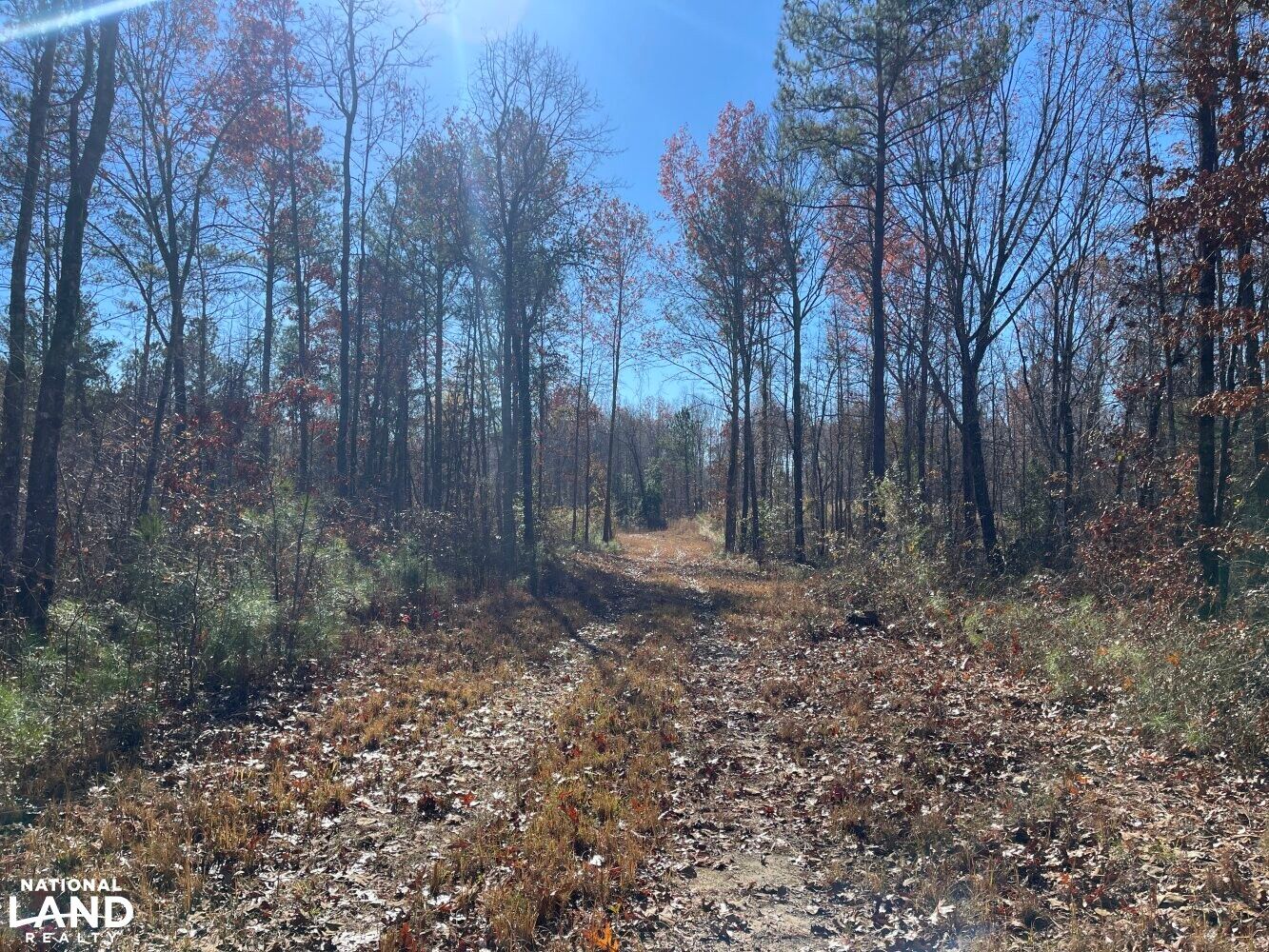 0 Anthony Street, Detroit, AL 35552 LandWatch