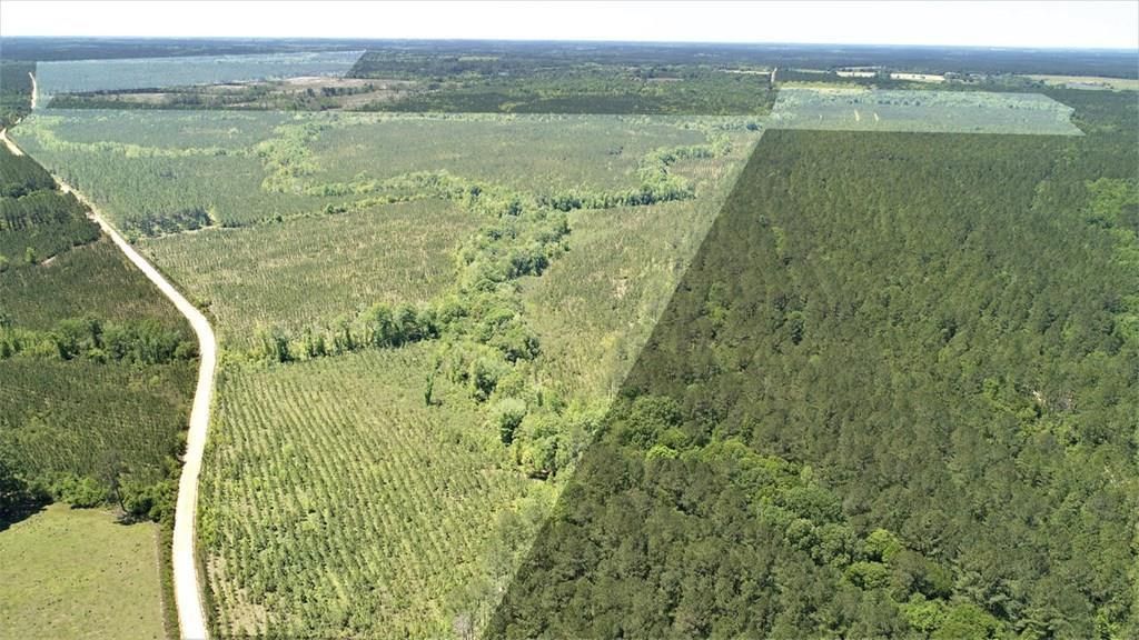 Fitzgerald, Ben Hill County, GA Farms and Ranches, Recreational Property, Timberland Property