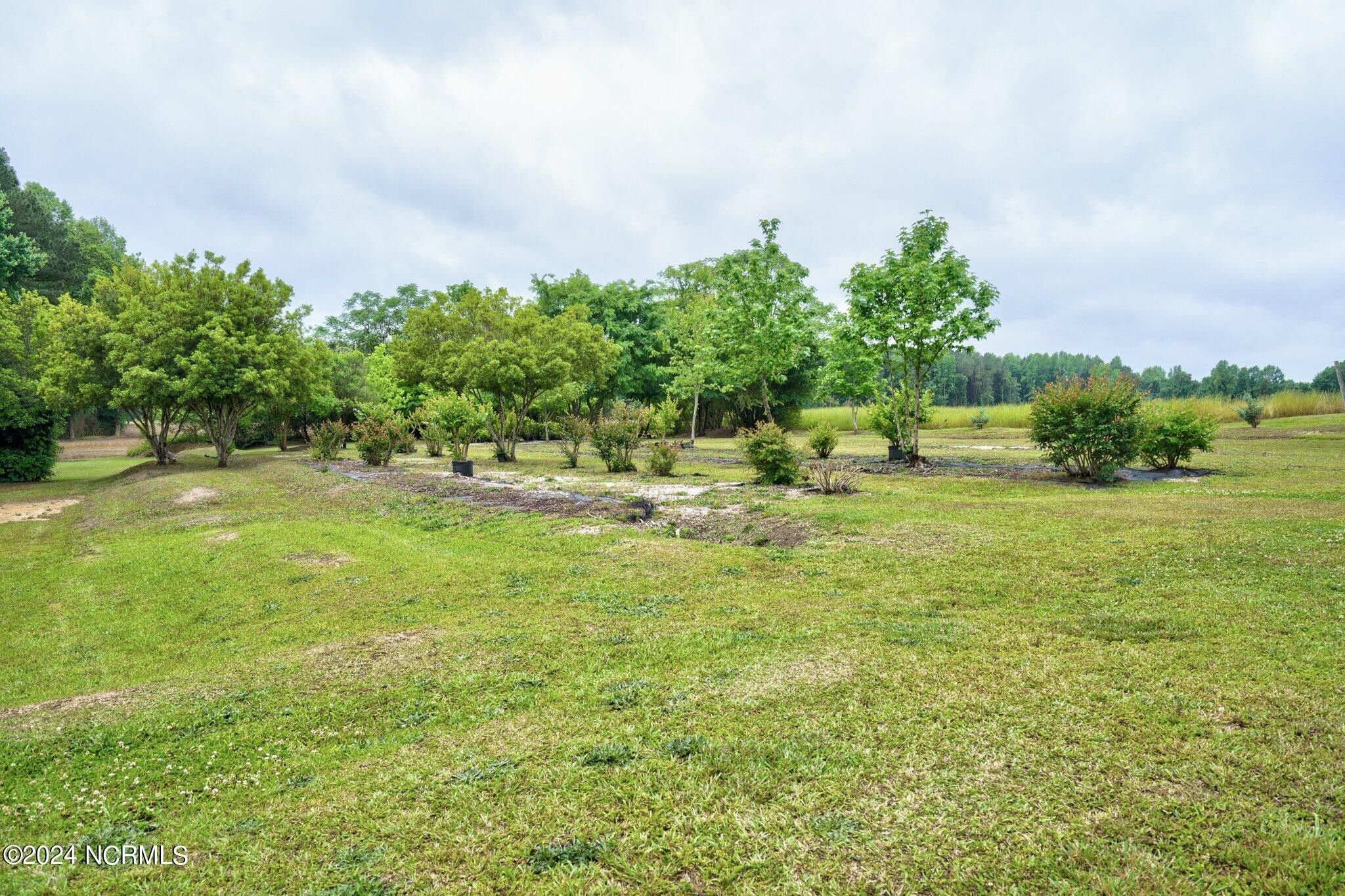 Wilson, Wilson County, NC Undeveloped Land, Homesites for sale Property