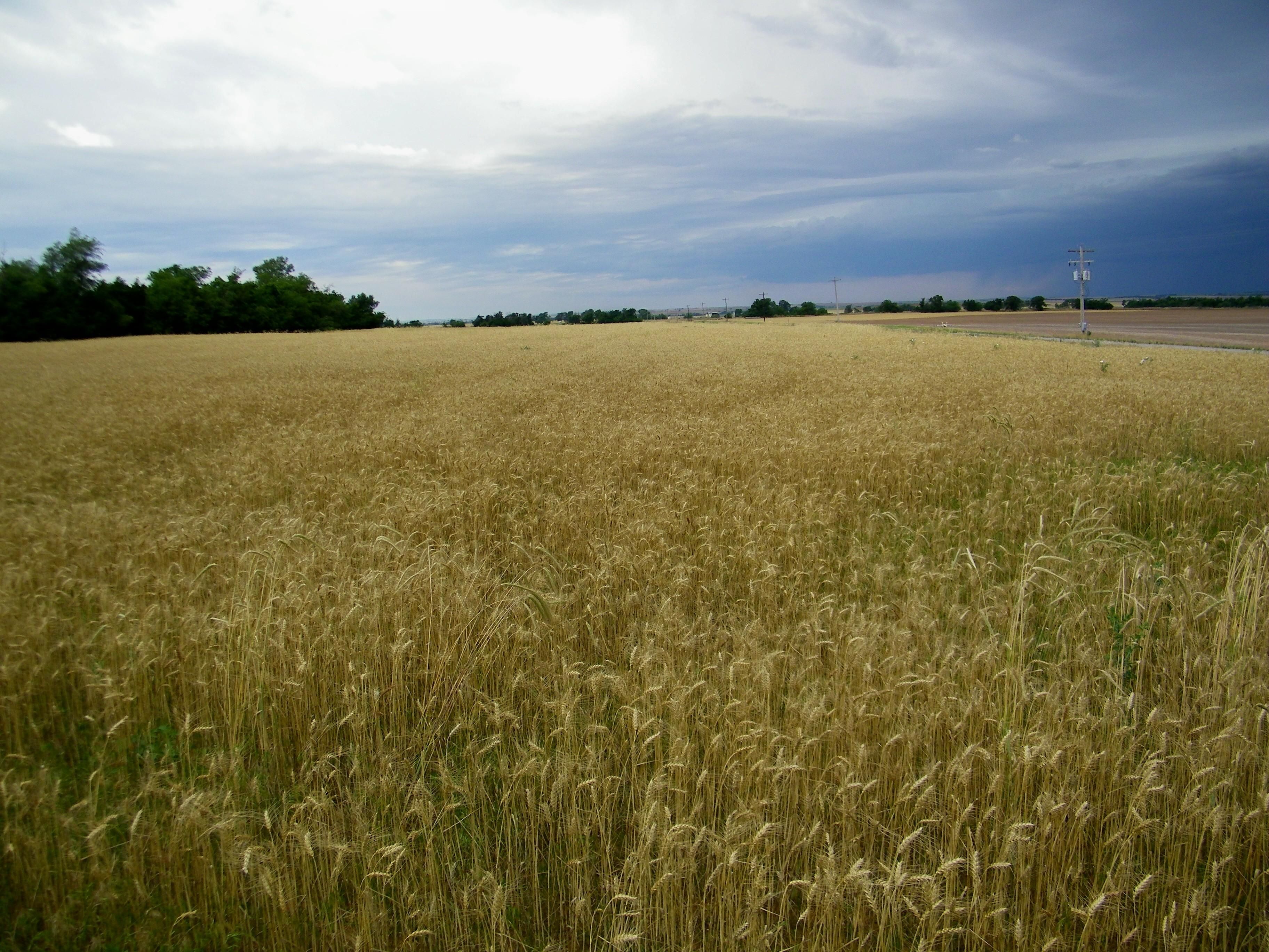 160 acres in Lookeba, OK, 73053 MLS 1118233 LandWatch