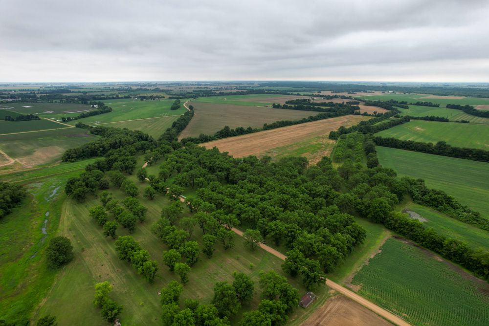 18465 County Road 405, MO 63857 MLS Dunklin 60 LandWatch