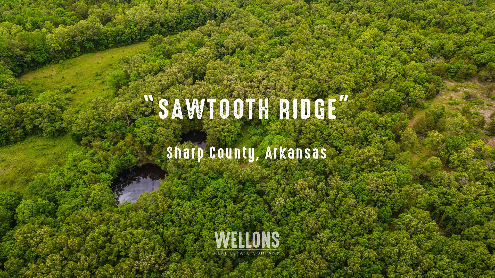 45 acres in Poughkeepsie, AR, LandWatch