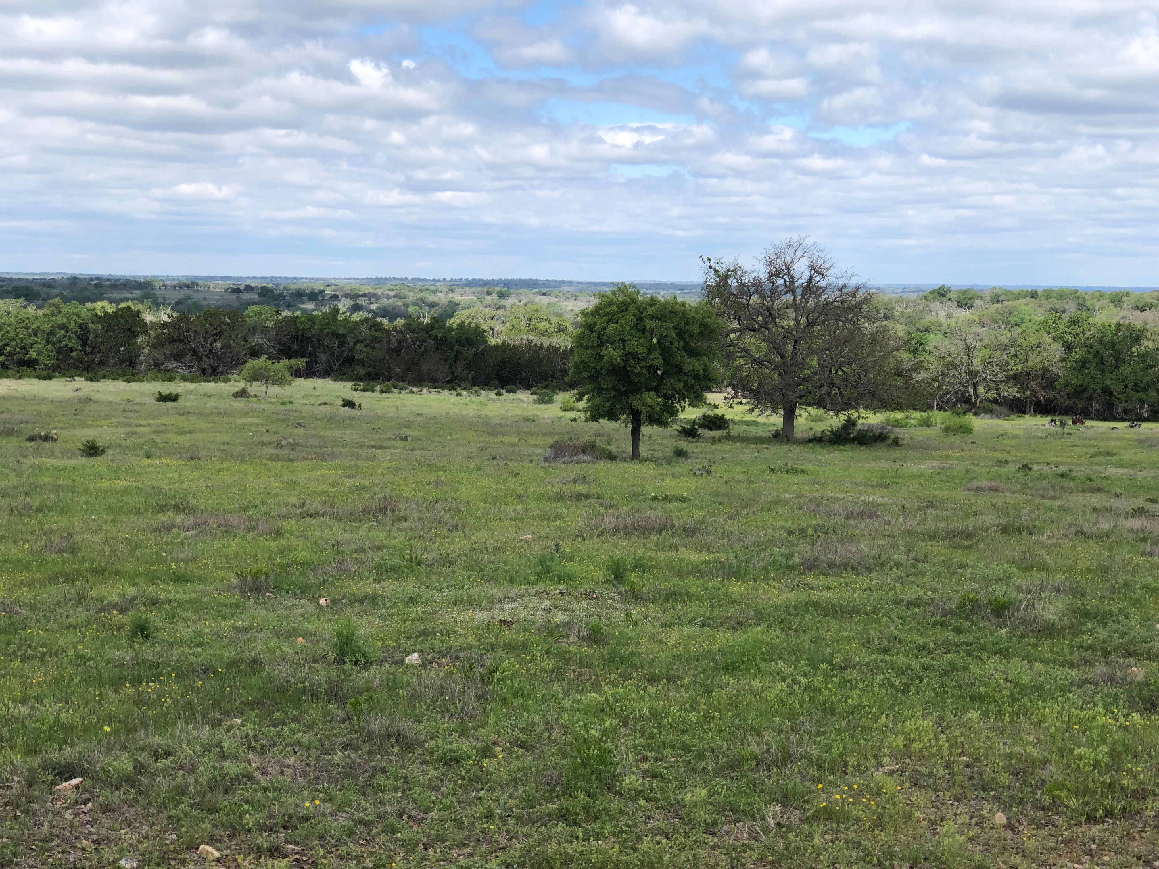 30 acres in Fredericksburg, TX, 78624 LandWatch