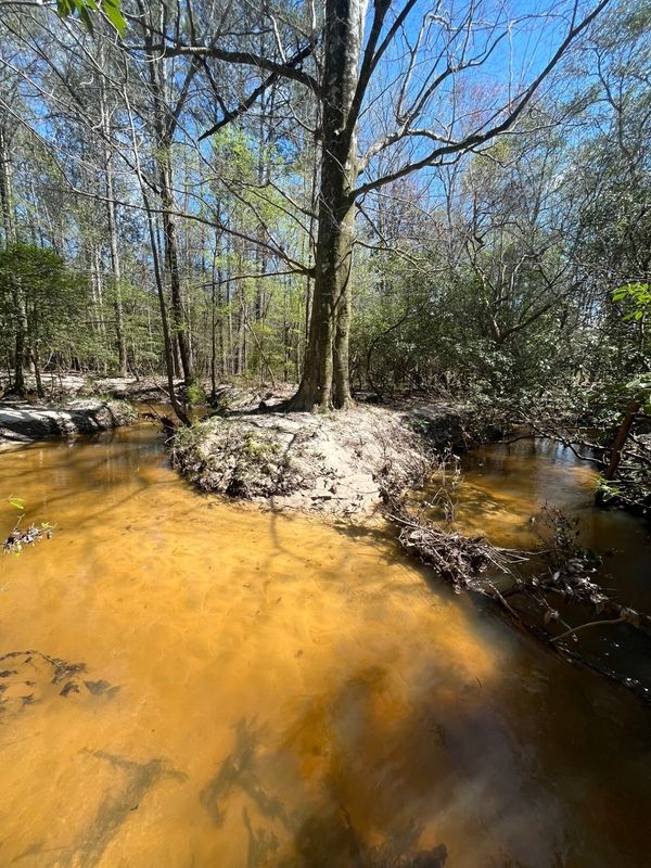 County Rd 42, Monroeville, AL 36461 LandWatch