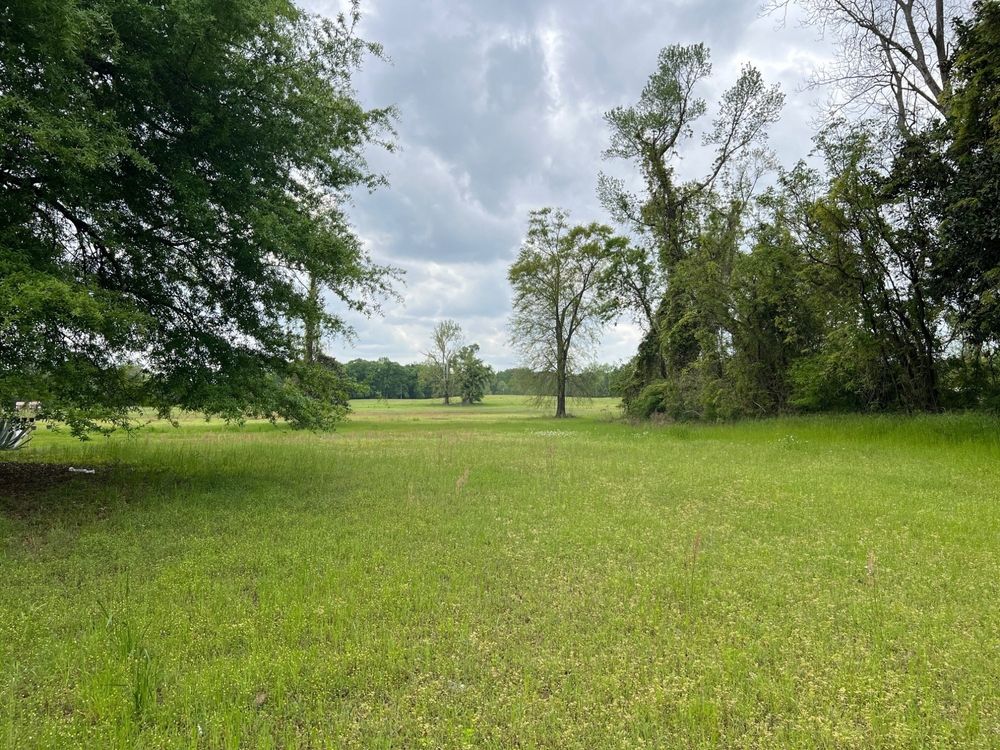 6126 W Curtis St, Glenwood, AL 36034 LandWatch