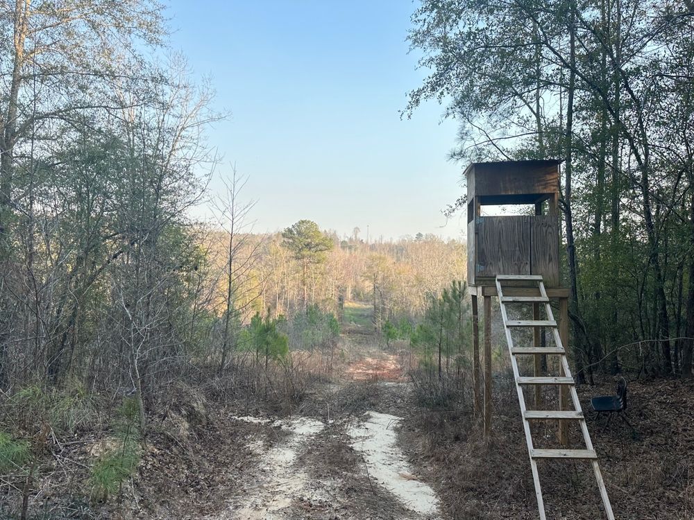 Mars Hill Cemetery Road, Marion, AL 36756 LandWatch