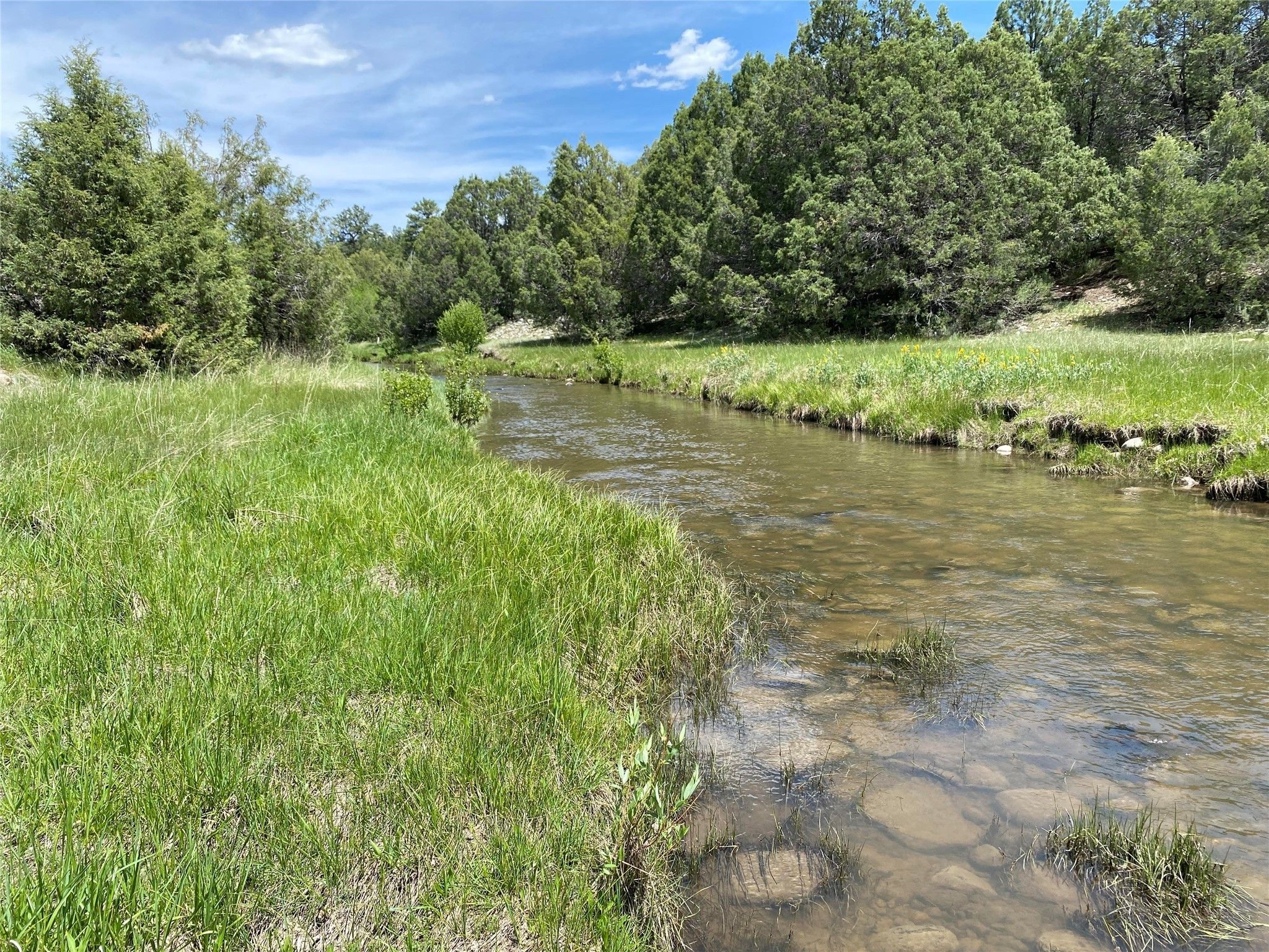 Tierra Amarilla, Rio Arriba County, NM for sale Property ID 419964256