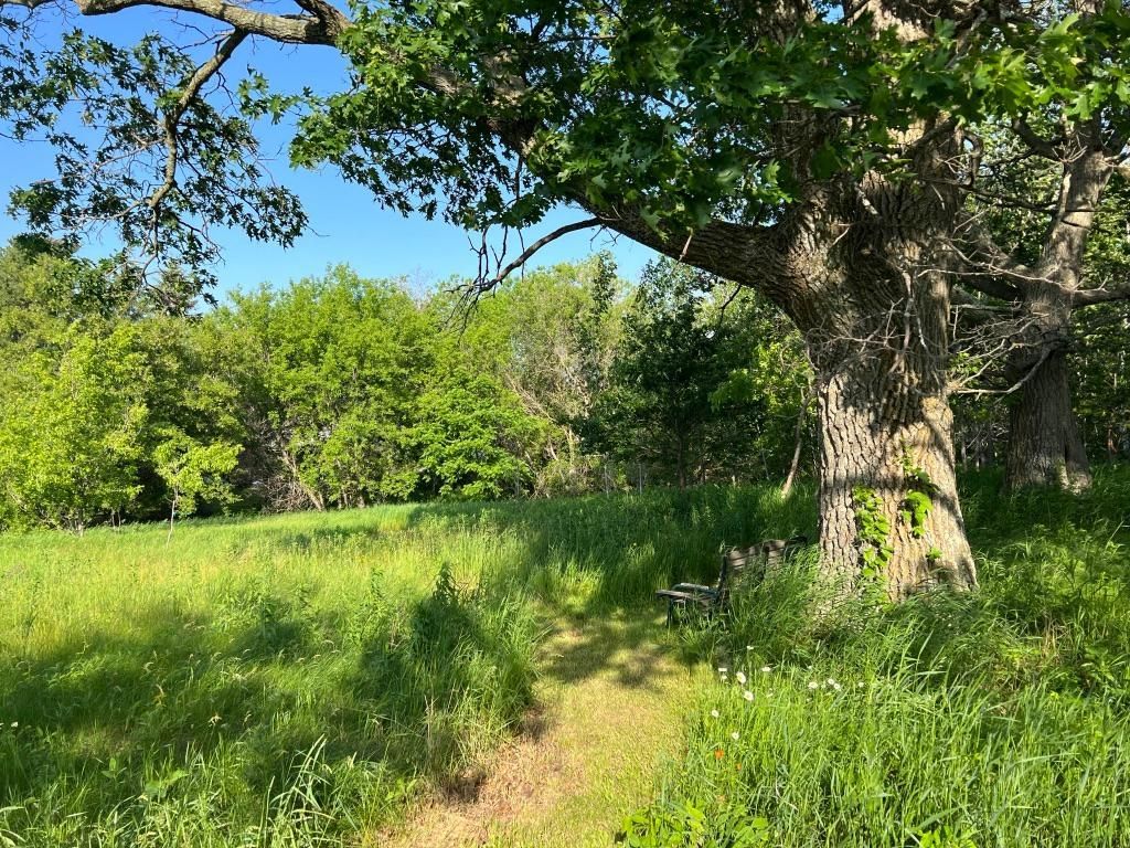 XXXXX County Road 133, Cuyuna, MN 56444 MLS 6377953 LandWatch