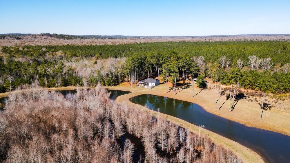 7 ARMSTRONG LANE, GLENWOOD, AL 36034 LandWatch