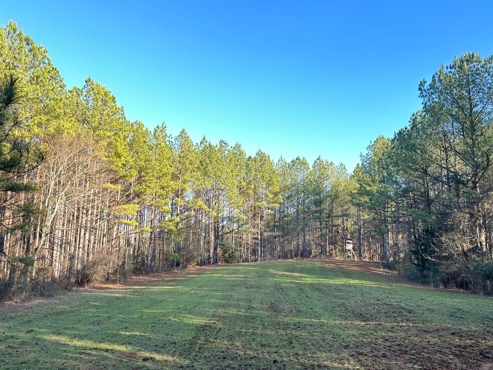 Dallas County Road 272, Valley Grande, AL 36701 LandWatch
