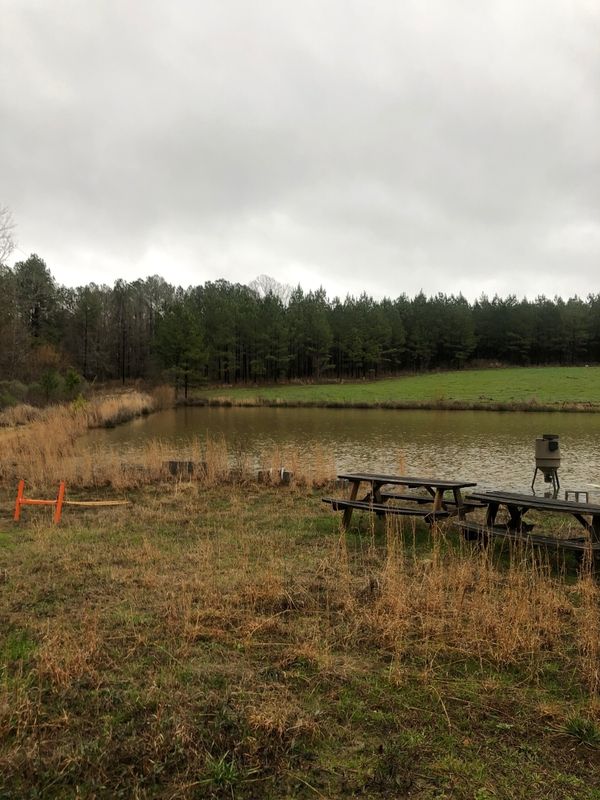 1213 Talbotton Hwy. 80, Butler, GA 31006 LandWatch