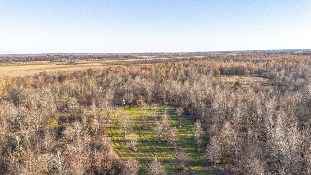 Levert Road, Cascilla, MS 38920 LandWatch
