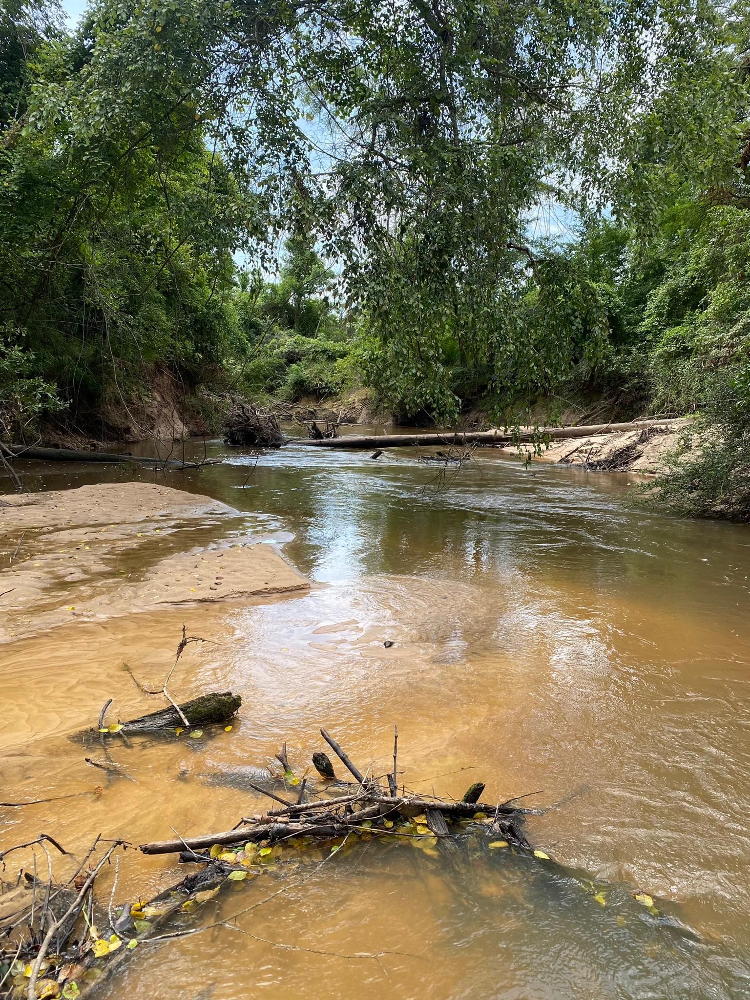 80.57 acres in Mize, MS, 39116 LandWatch