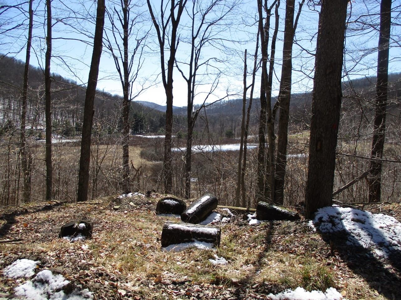 Art Line Road, Eldred, PA 16731 MLS 53978 LandWatch