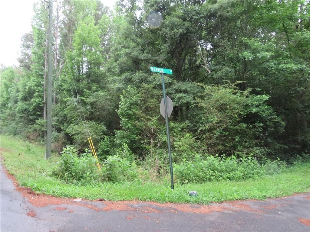 Cedartown, Polk County, GA Undeveloped Land, Lakefront Property