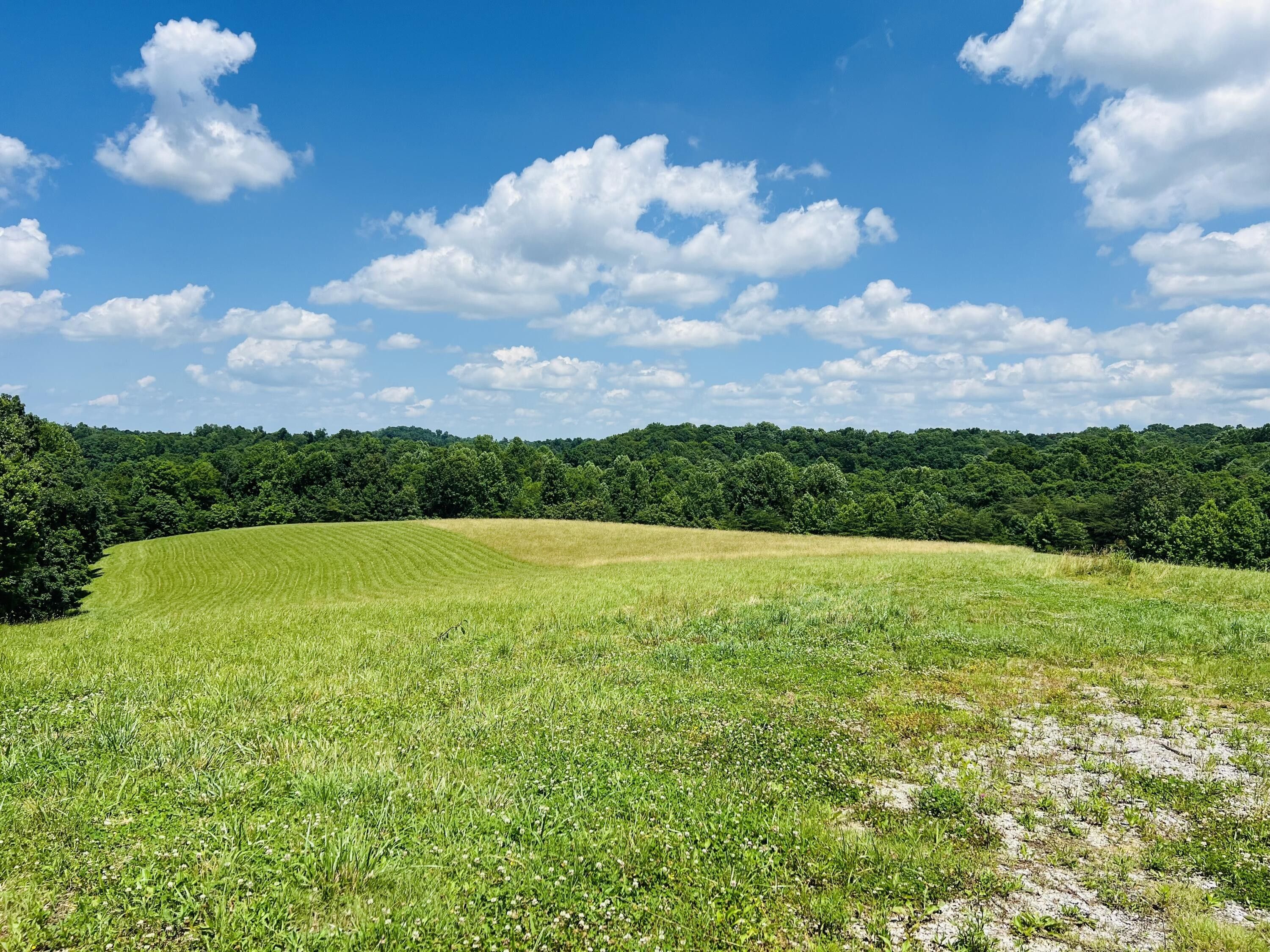 17.05ac Beech Grove Road, Jabez, KY 42544 MLS 24011741 LandWatch