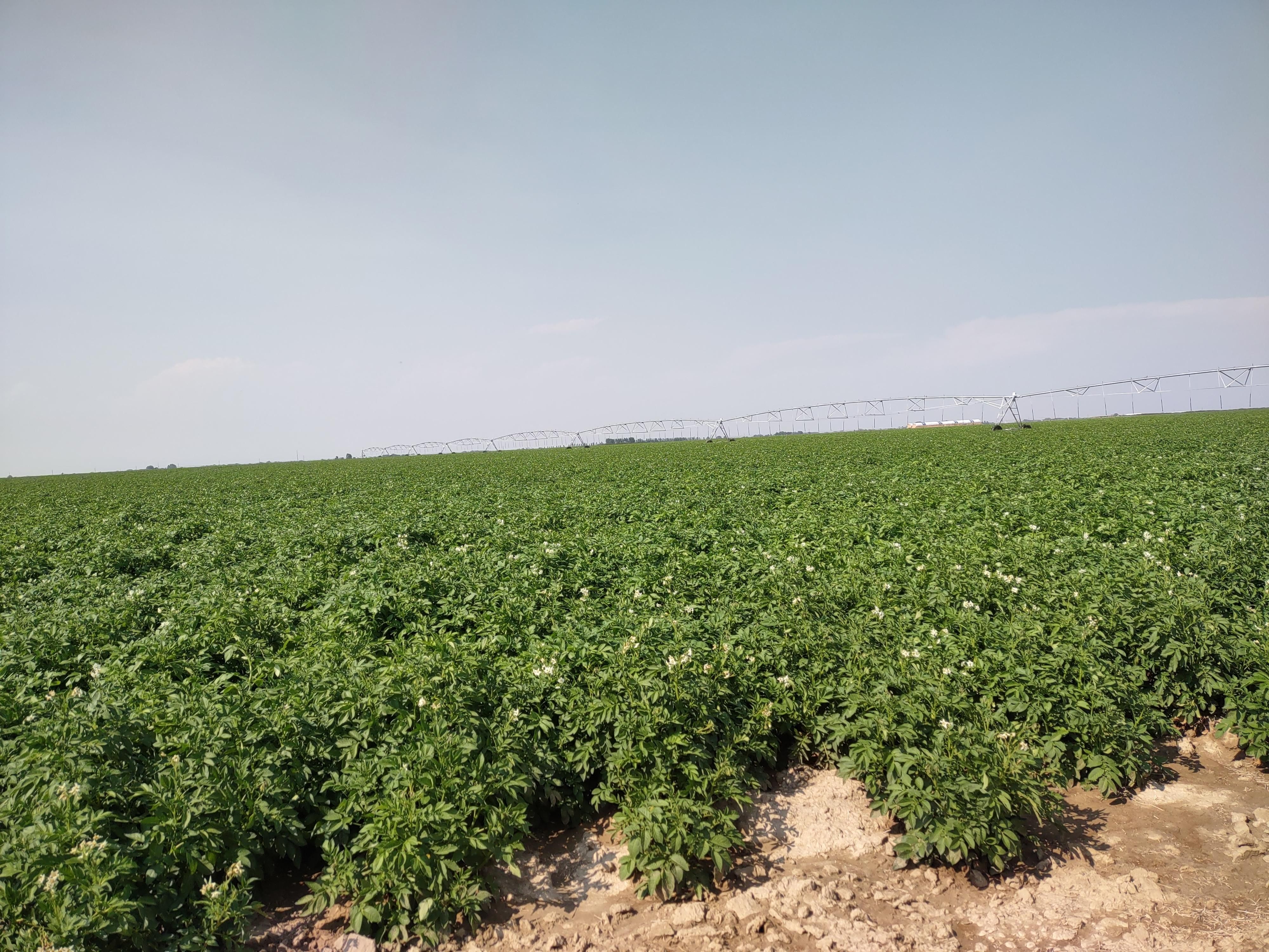 1,501 acres in Minidoka, ID, 83343 LandWatch